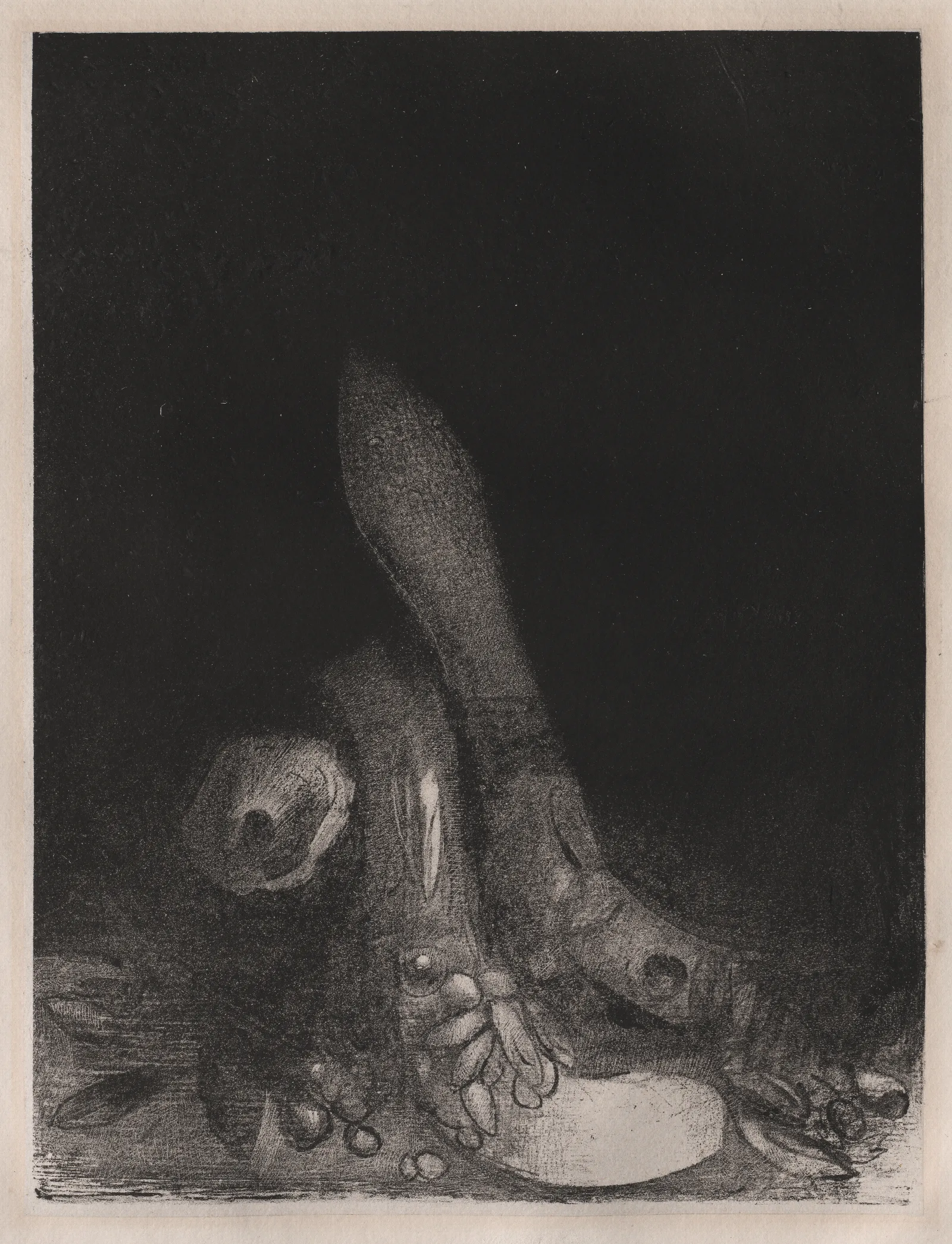 Flowers Fall And The Head Of A Python Appears Wall Art by Odilon Redon - Canvas Print