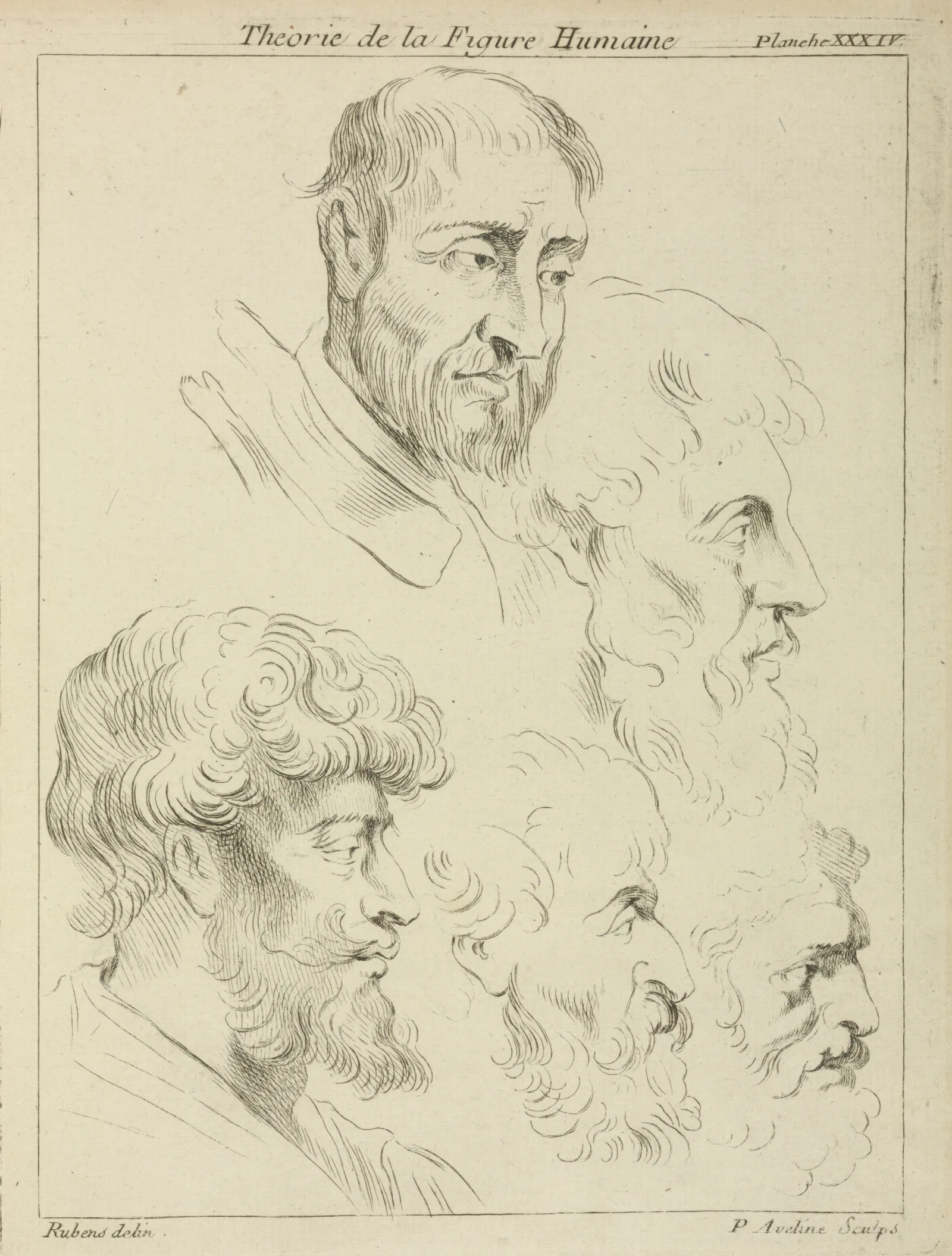 Five Studies Of Mens Heads Four In Profile Wall Art by Peter Paul Rubens - Canvas Print