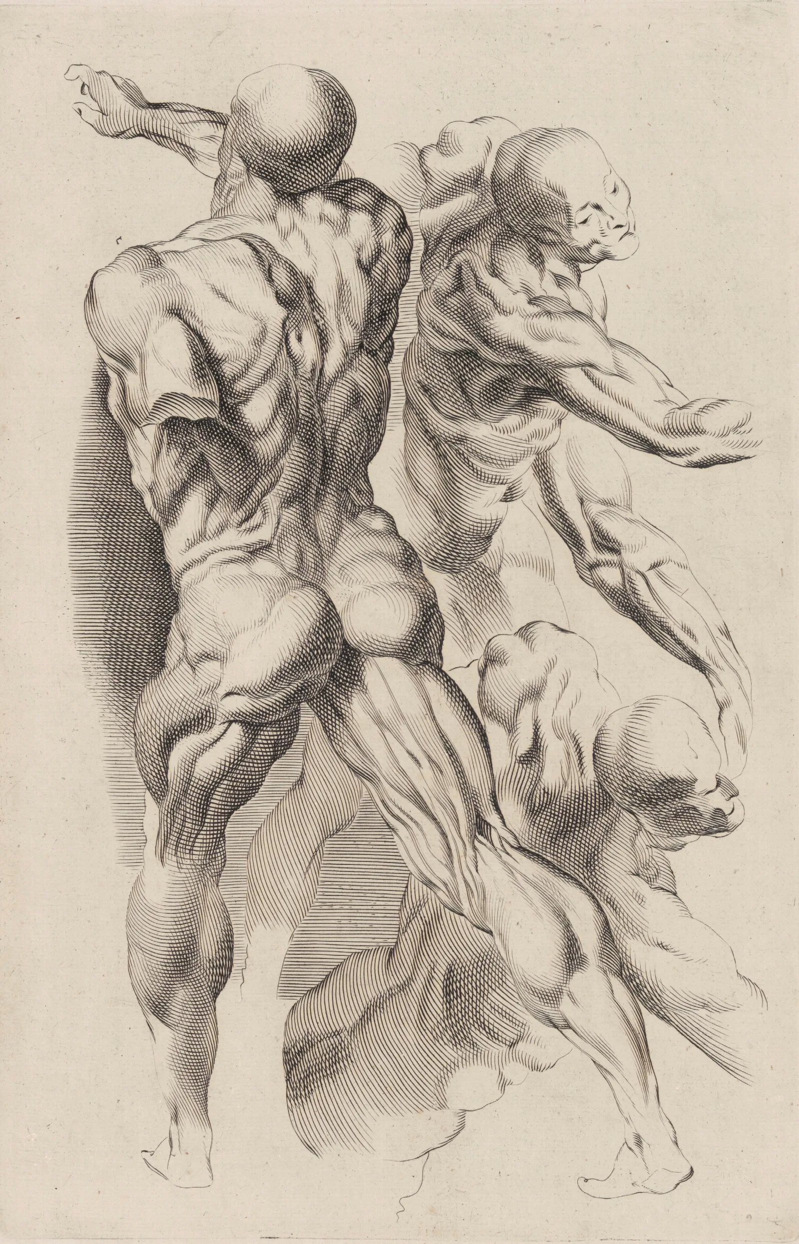 Study Of Two Naked Men Wall Art by Peter Paul Rubens - Canvas Print