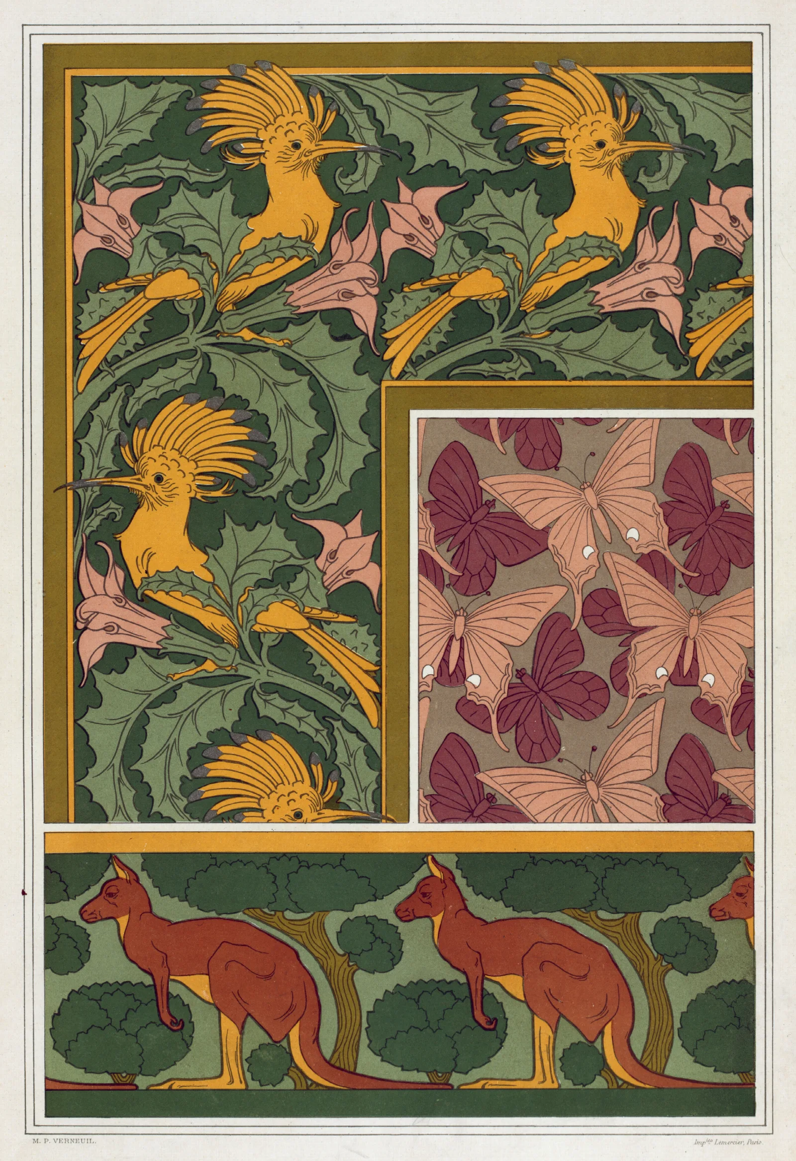 Huppes Et Stramoine Bordure Papillons Etoffe De Soie Kangourou Et Arbres Bordure Wall Art by Maurice Pillard Verneuil - Canvas Print