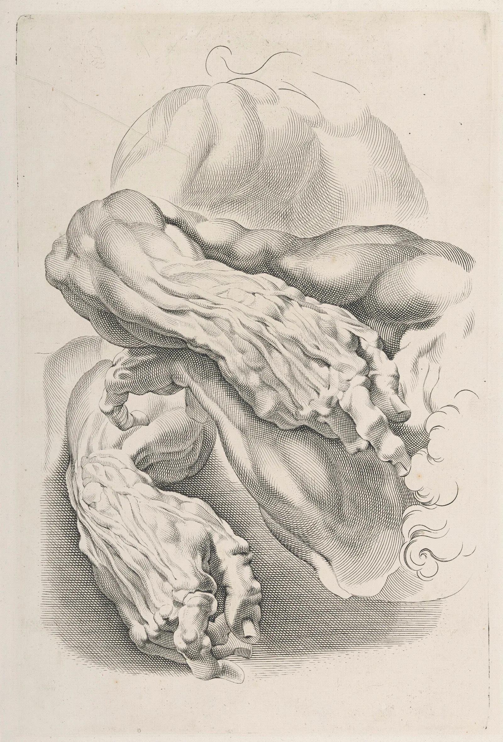 Muscles 2 Wall Art by Peter Paul Rubens - Canvas Print