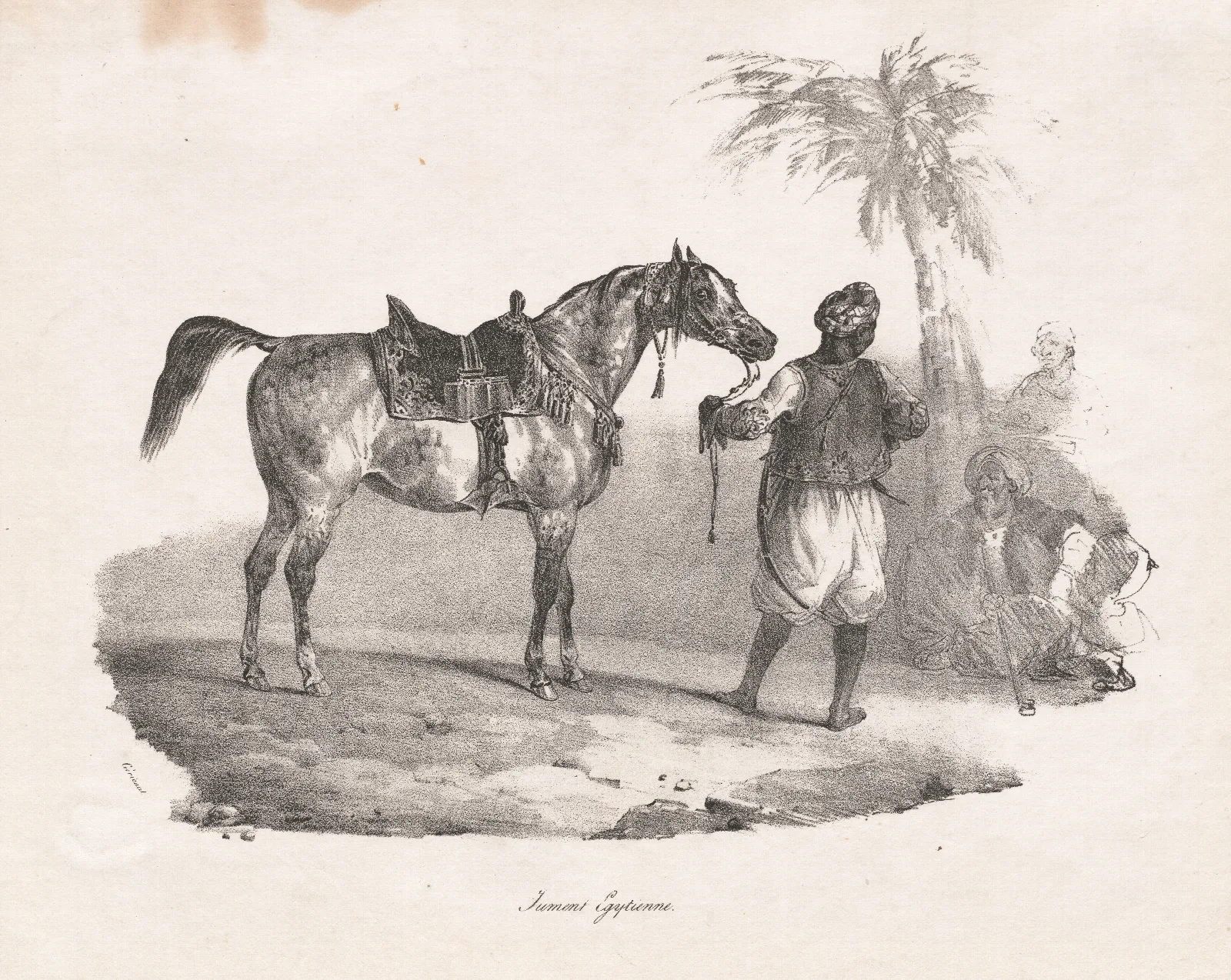 Egyptian Mare Wall Art by Théodore Géricault - Canvas Print