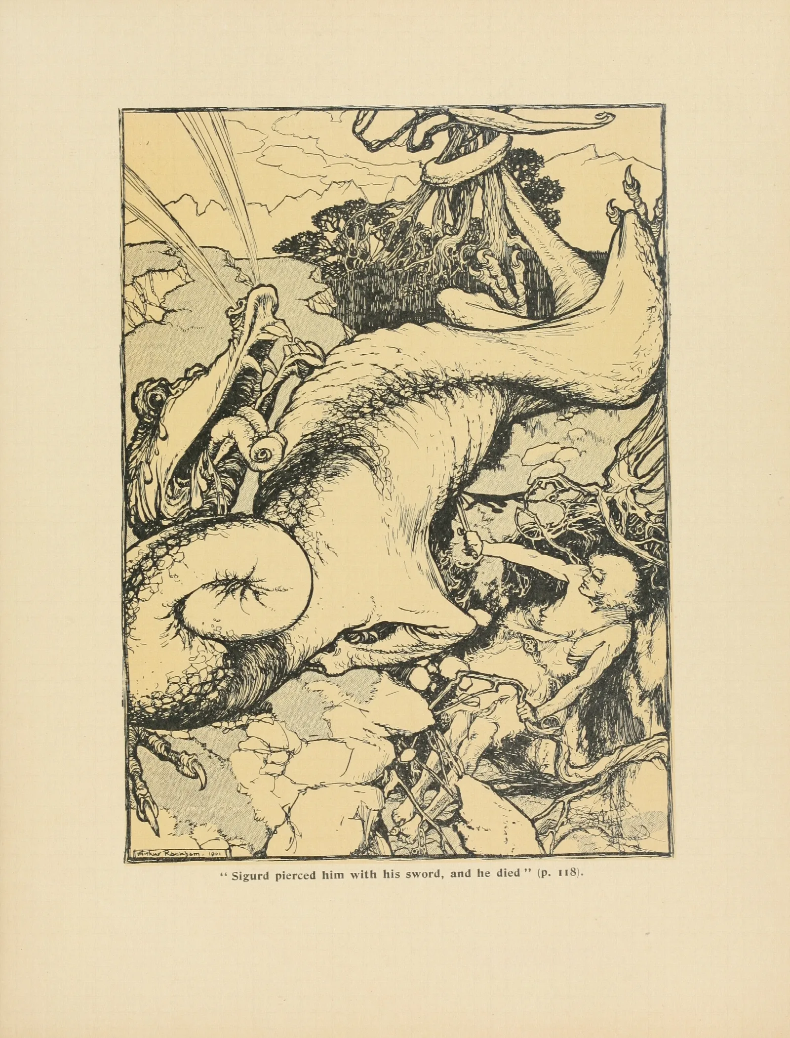 Sigurd Pierced Him With His Sword And He Died Wall Art by Arthur Rackham - Canvas Print