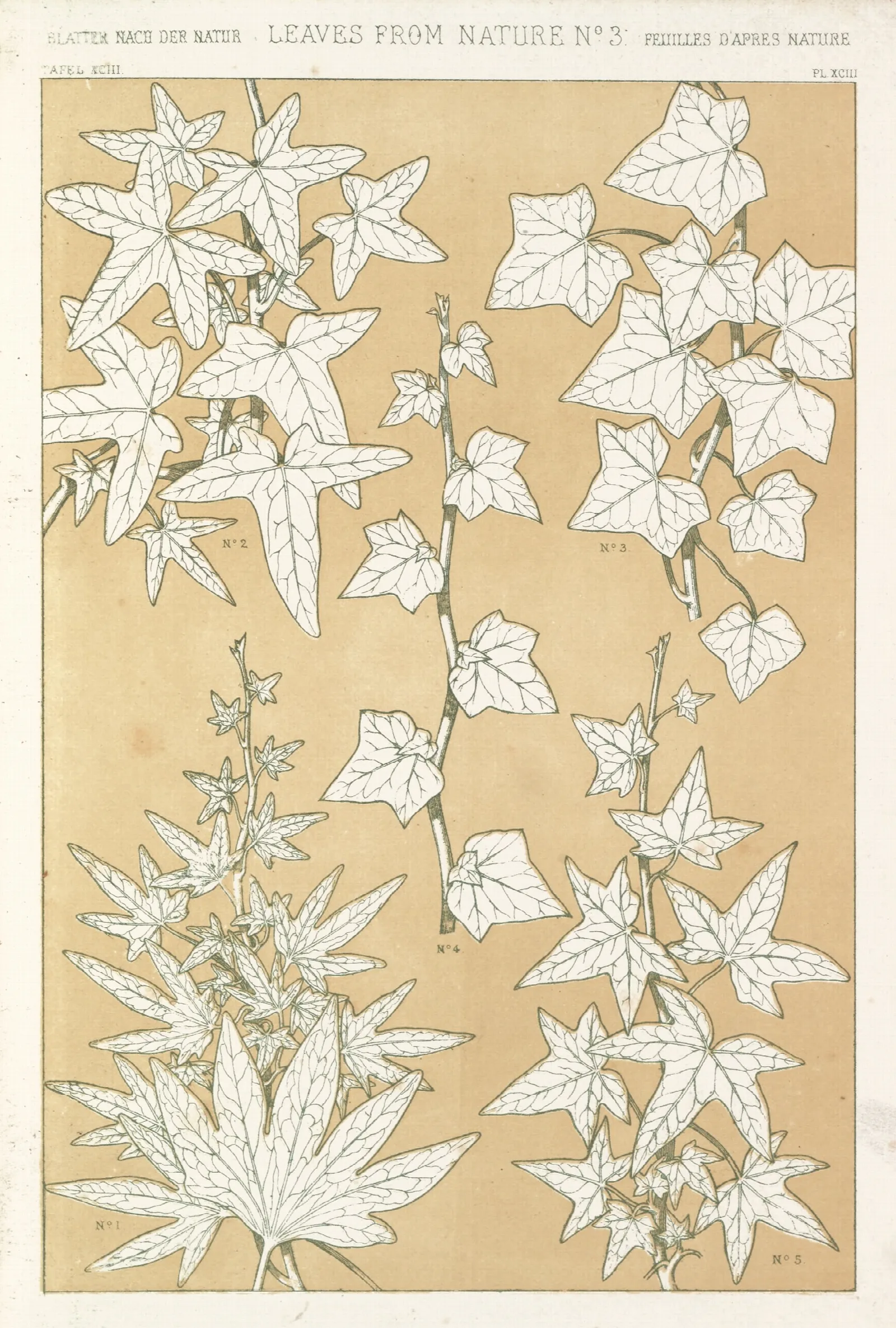 Leaves From Nature No 3 Wall Art by Owen Jones - Canvas Print