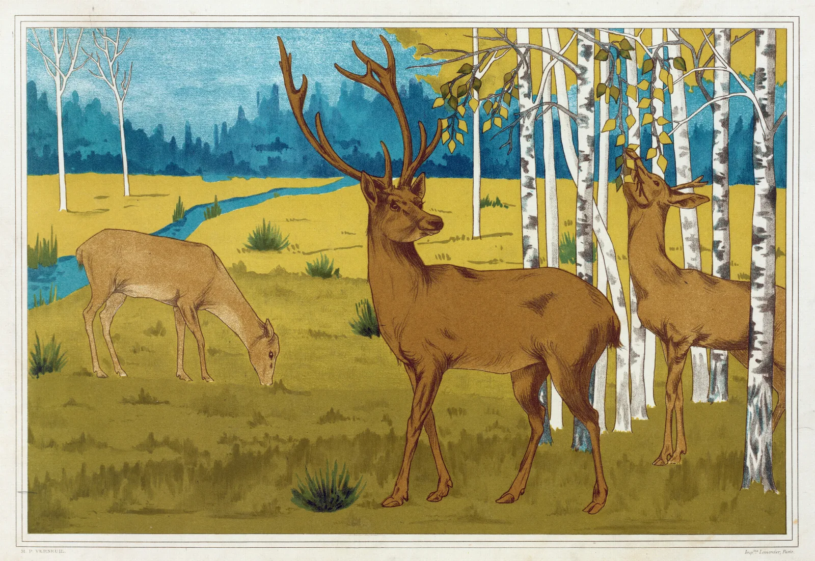 Cerfs Wall Art by Maurice Pillard Verneuil - Canvas Print