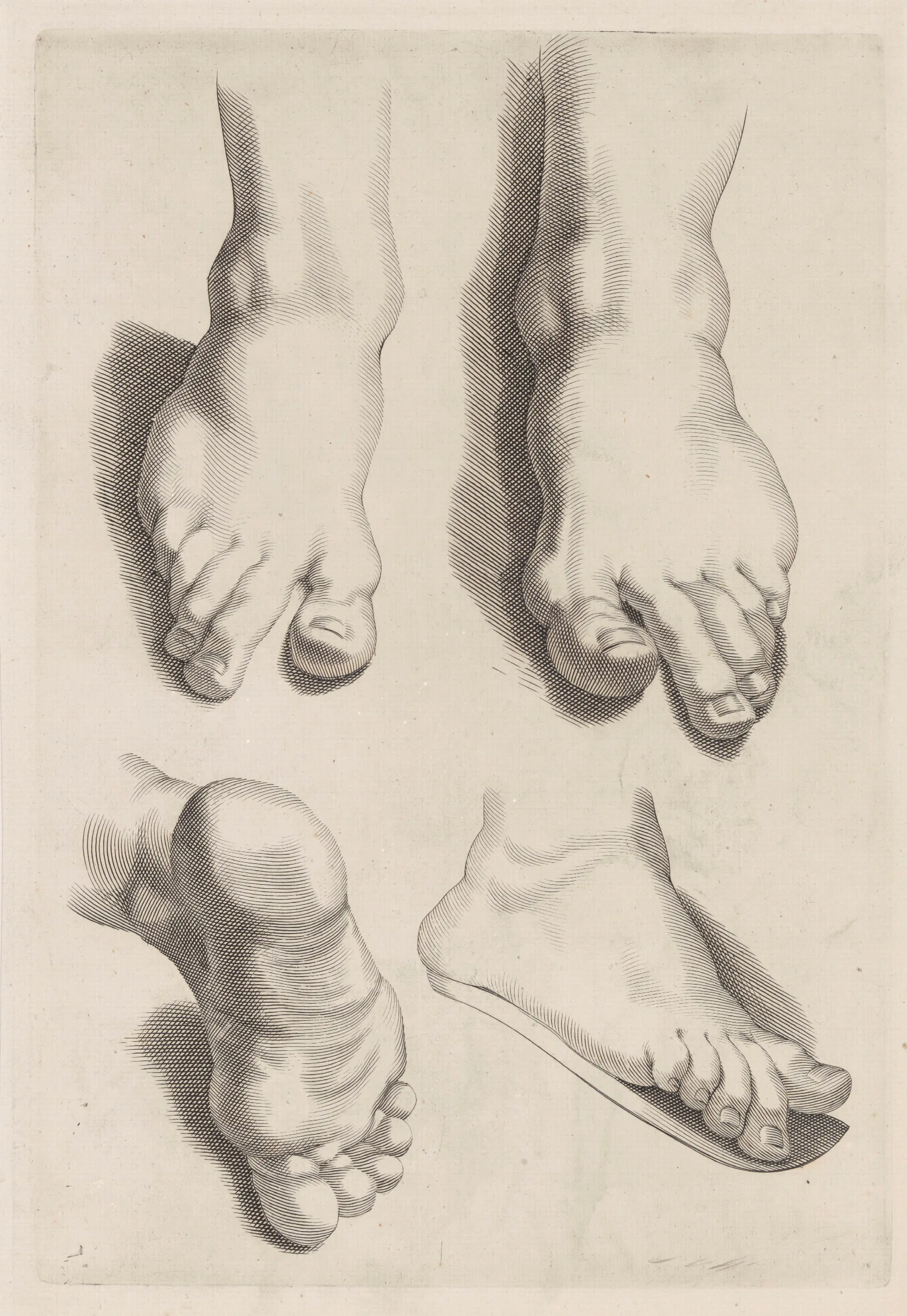 Study Of Feet 2 Wall Art by Peter Paul Rubens - Canvas Print
