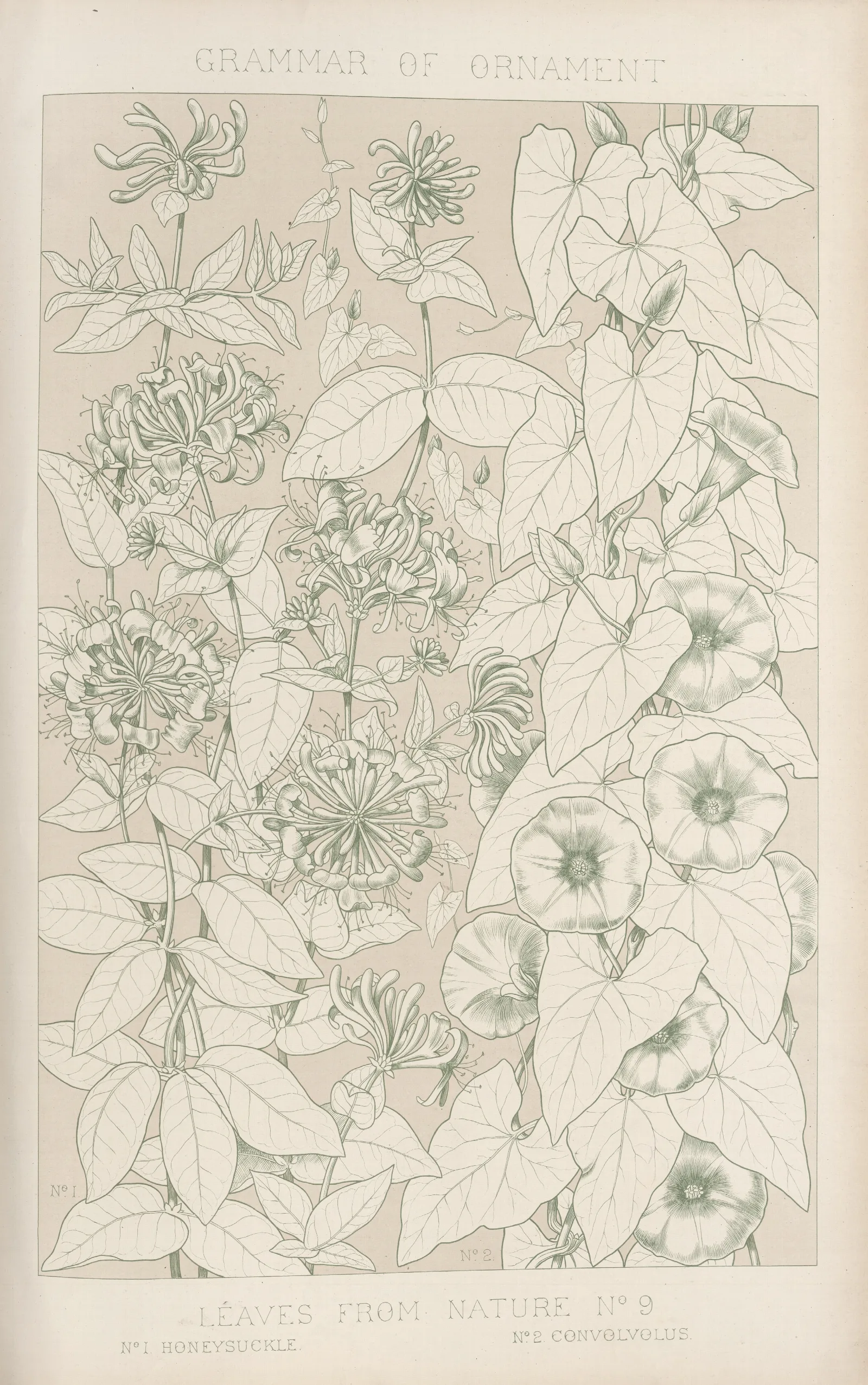 Leaves From Nature No 9 2 Wall Art by Owen Jones - Canvas Print