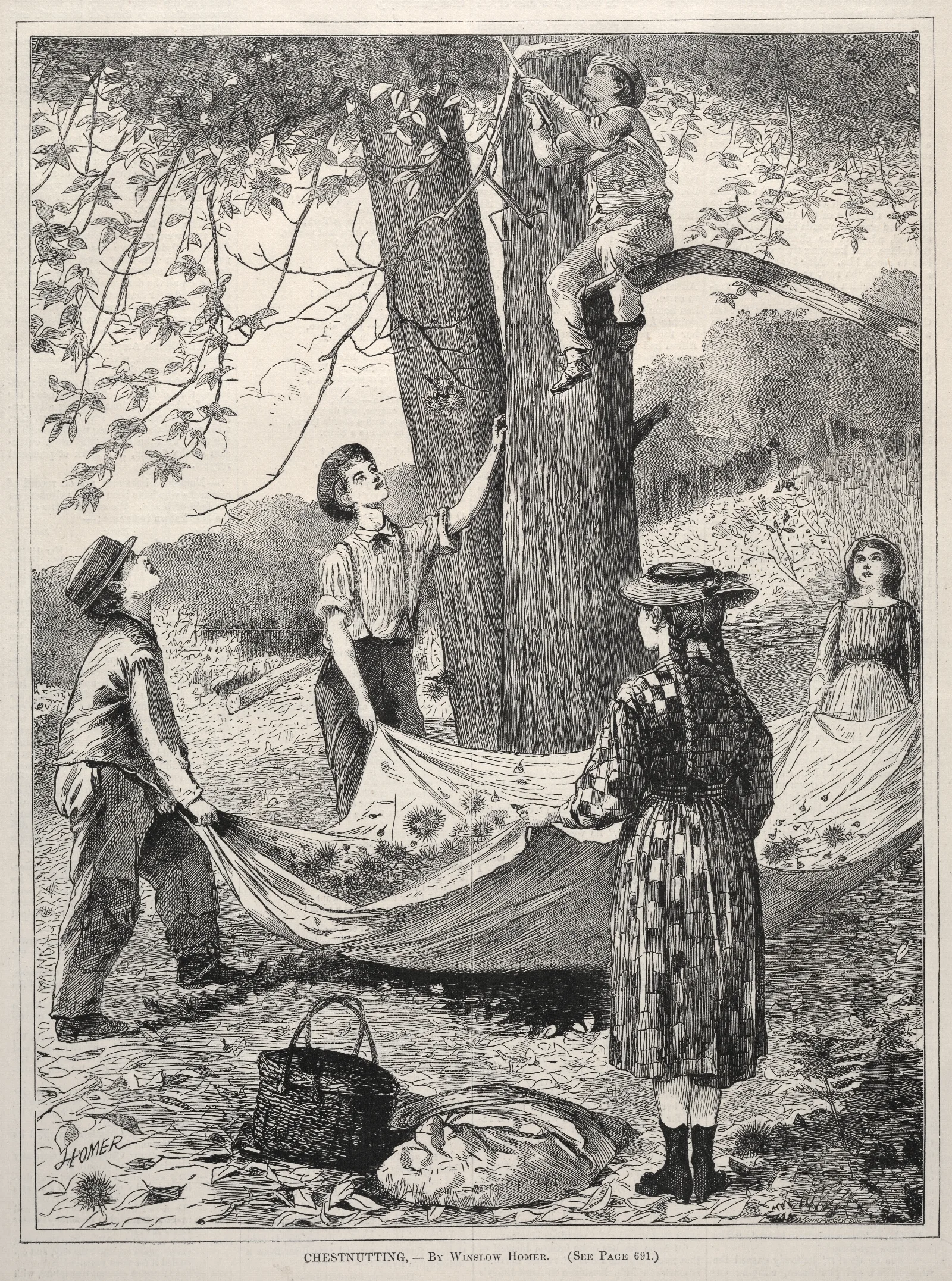 Chestnutting Wall Art by Winslow Homer - Canvas Print