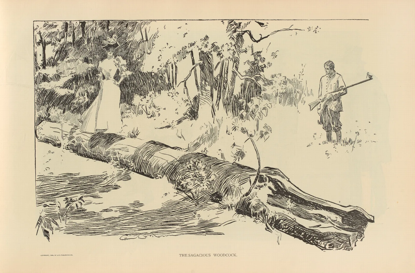 The Sagacious Woodcock Wall Art by Charles Dana Gibson - Canvas Print