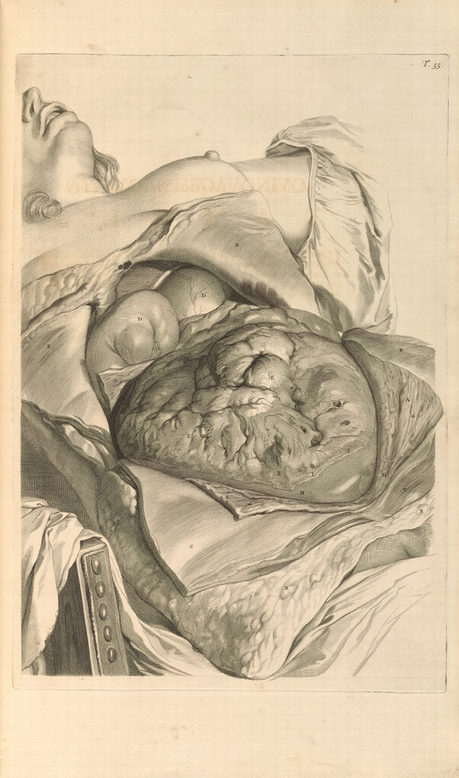 Anatomia Humani Corporis Pl 056 Wall Art by Gerard de Lairesse - Canvas Print
