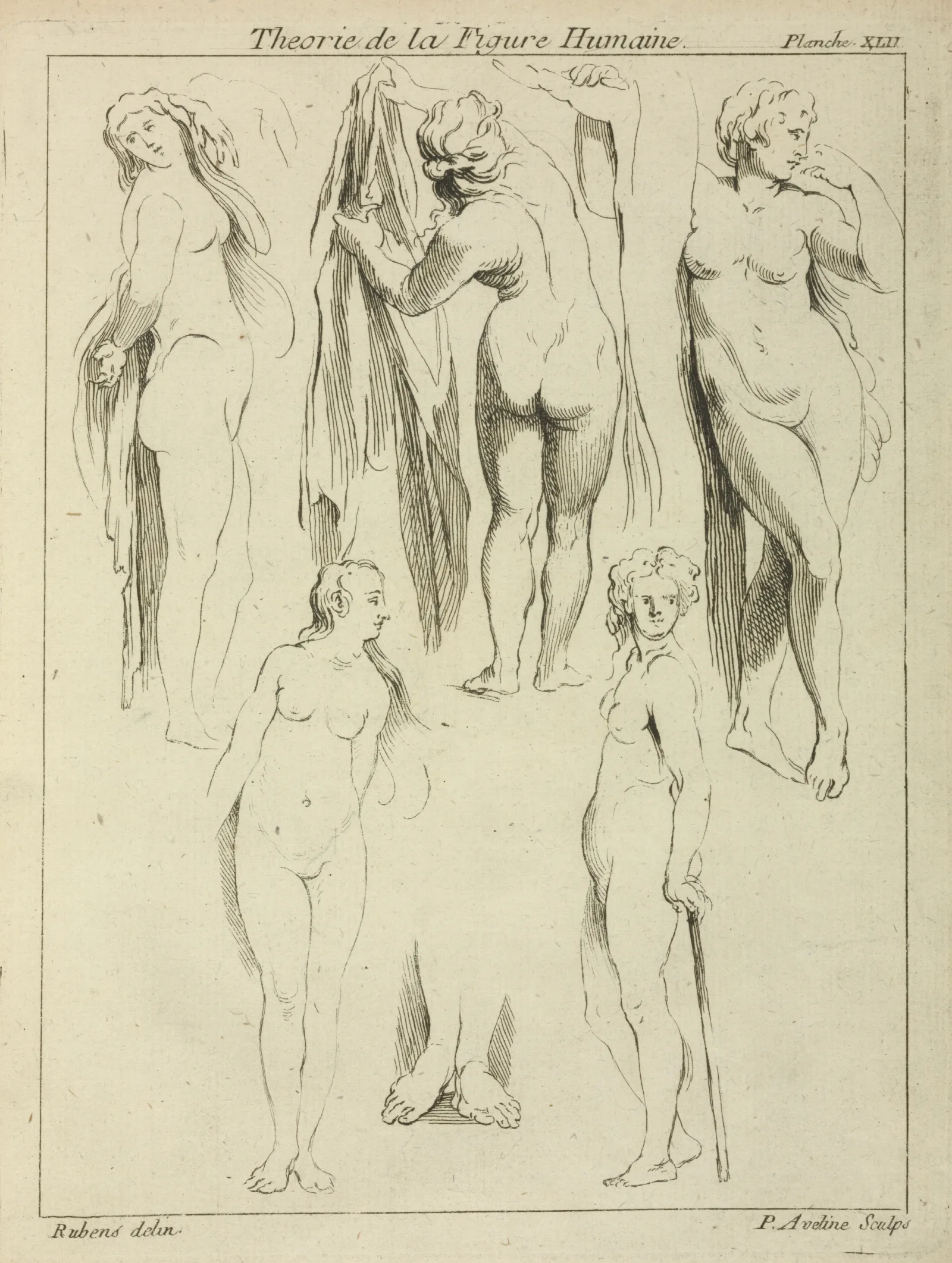 Studies Of Standing Female Nudes And A Pair Of Feet Wall Art by Peter Paul Rubens - Canvas Print