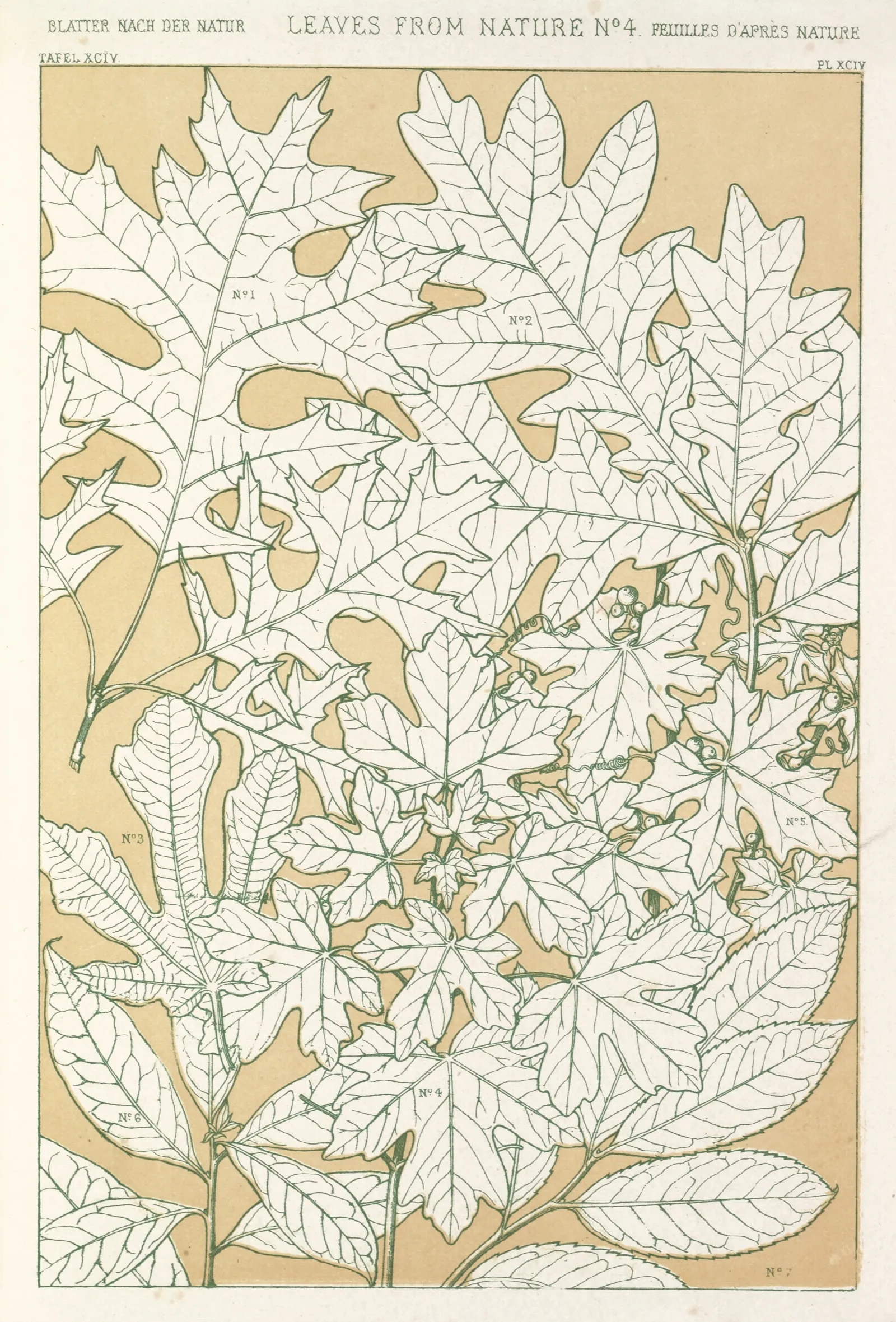 Leaves From Nature No 4 Wall Art by Owen Jones - Canvas Print