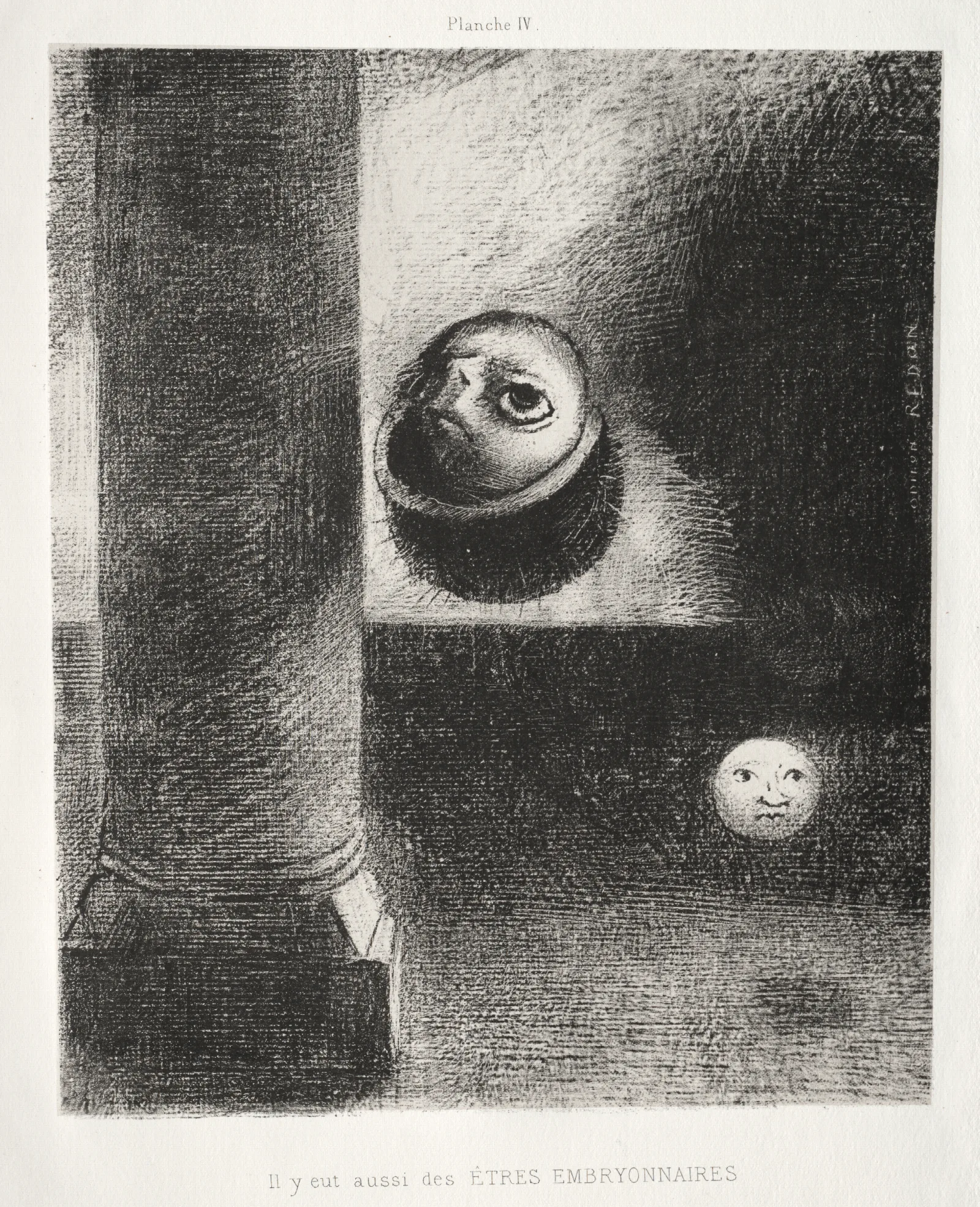 There Were Also Embryonic Beings 2 Wall Art by Odilon Redon - Canvas Print