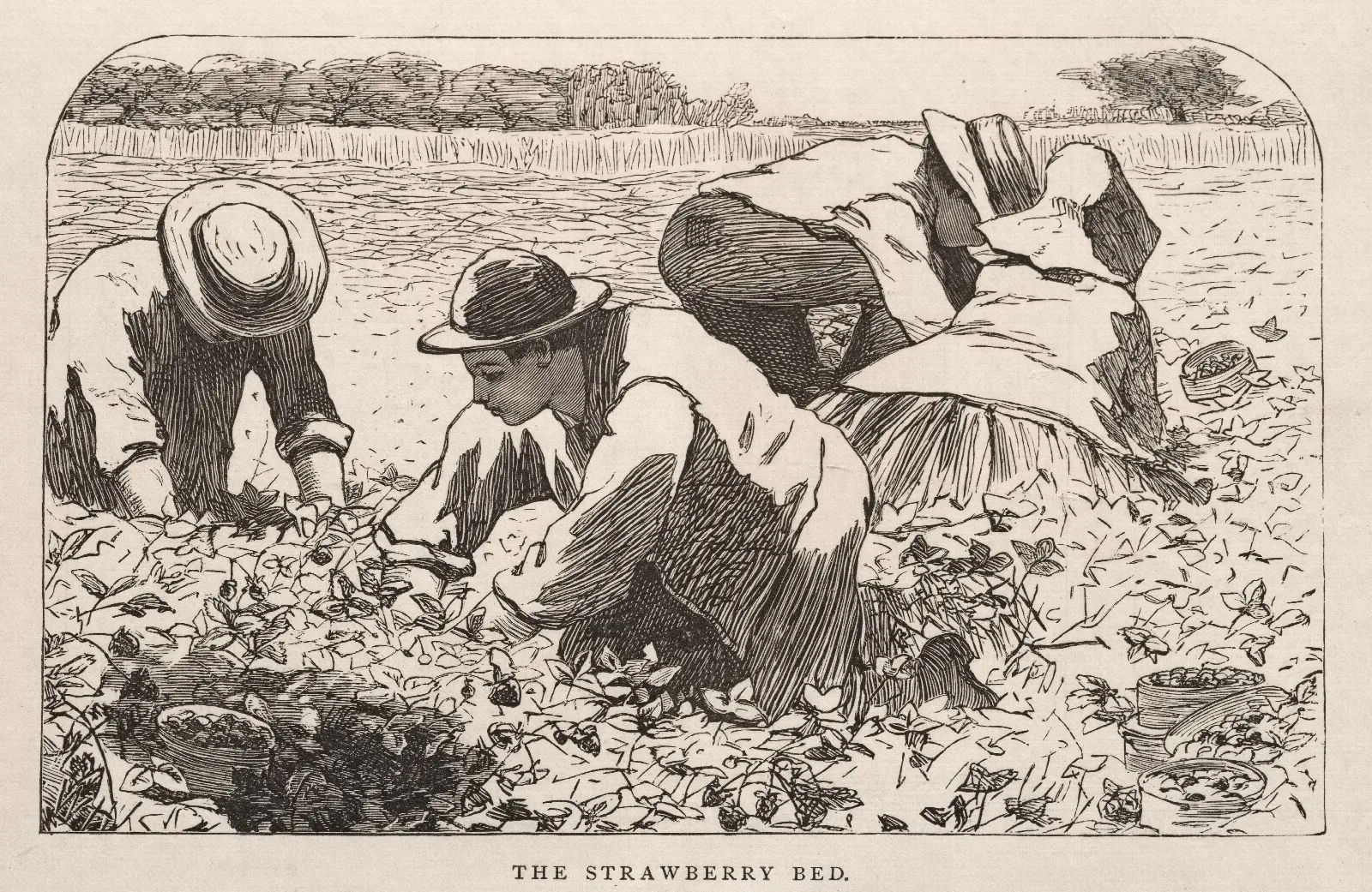 The Strawberry Bed Wall Art by Winslow Homer - Canvas Print
