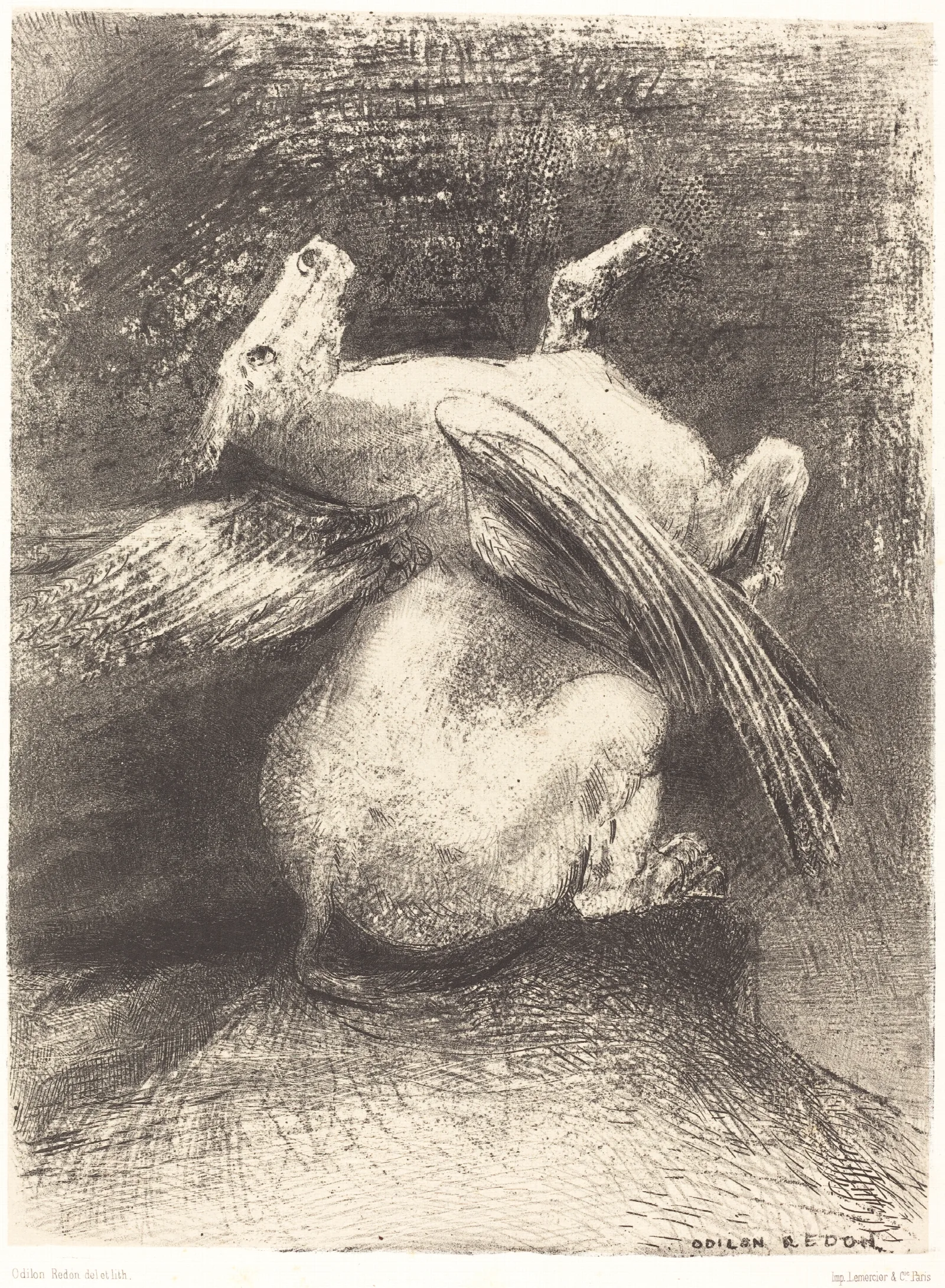 Laile Impuissante Neleva Point La Bete En Ces Noirs Espaces The Impotent Wing Did Not Lift The Animal Into That Black Space Wall Art by Odilon Redon - Canvas Print
