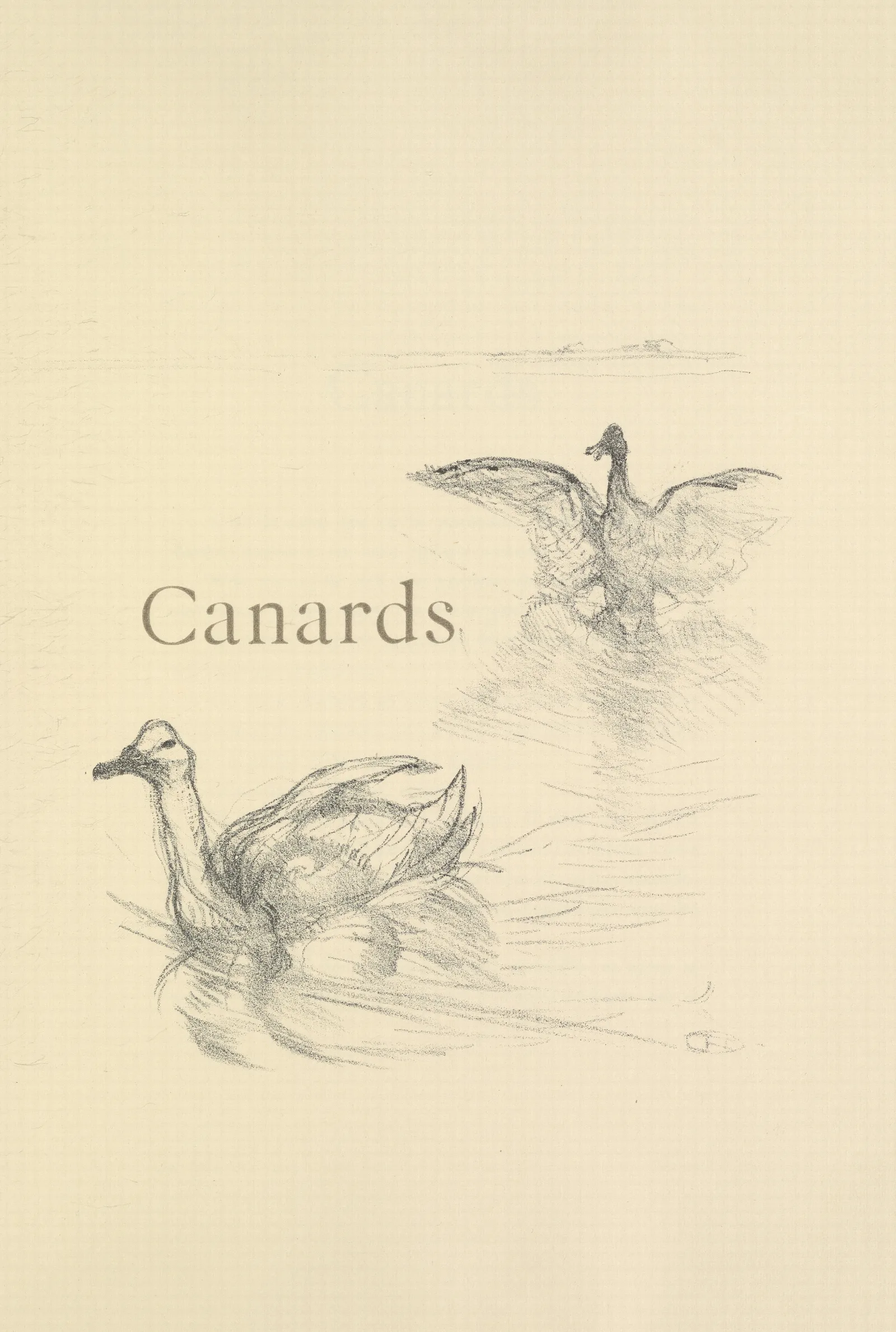 Canards Wall Art by Henri de Toulouse-Lautrec - Canvas Print