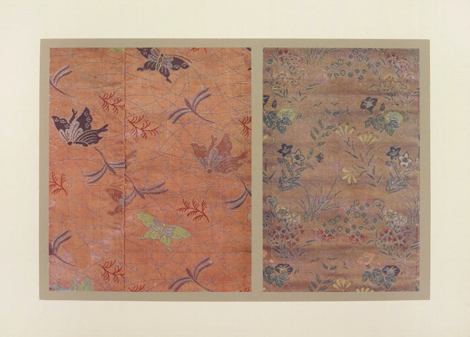 Papillons Et Fleurs Diverses Wall Art by Maurice Pillard Verneuil - Canvas Print