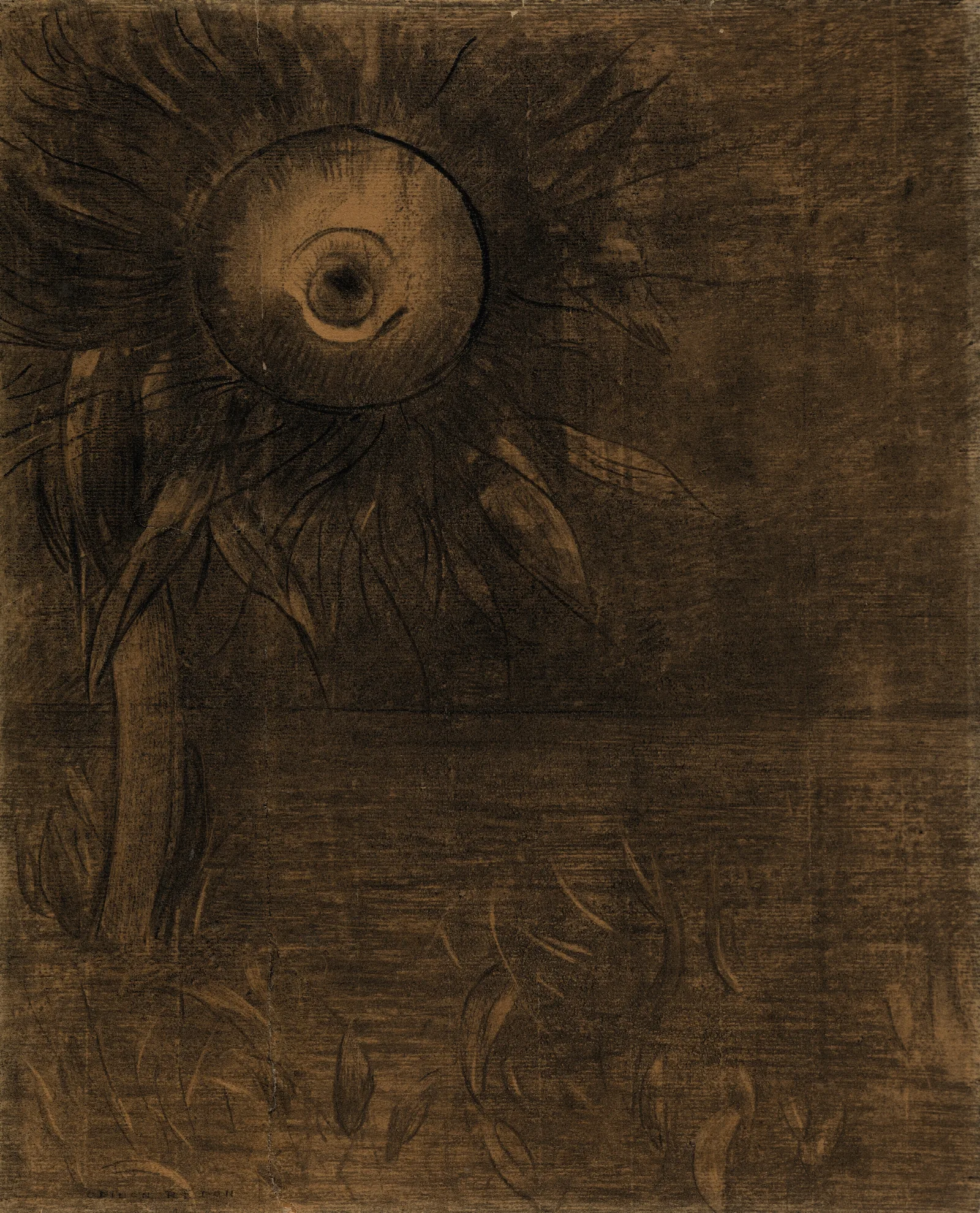 Fleur Sur Un Marecage Wall Art by Odilon Redon - Canvas Print
