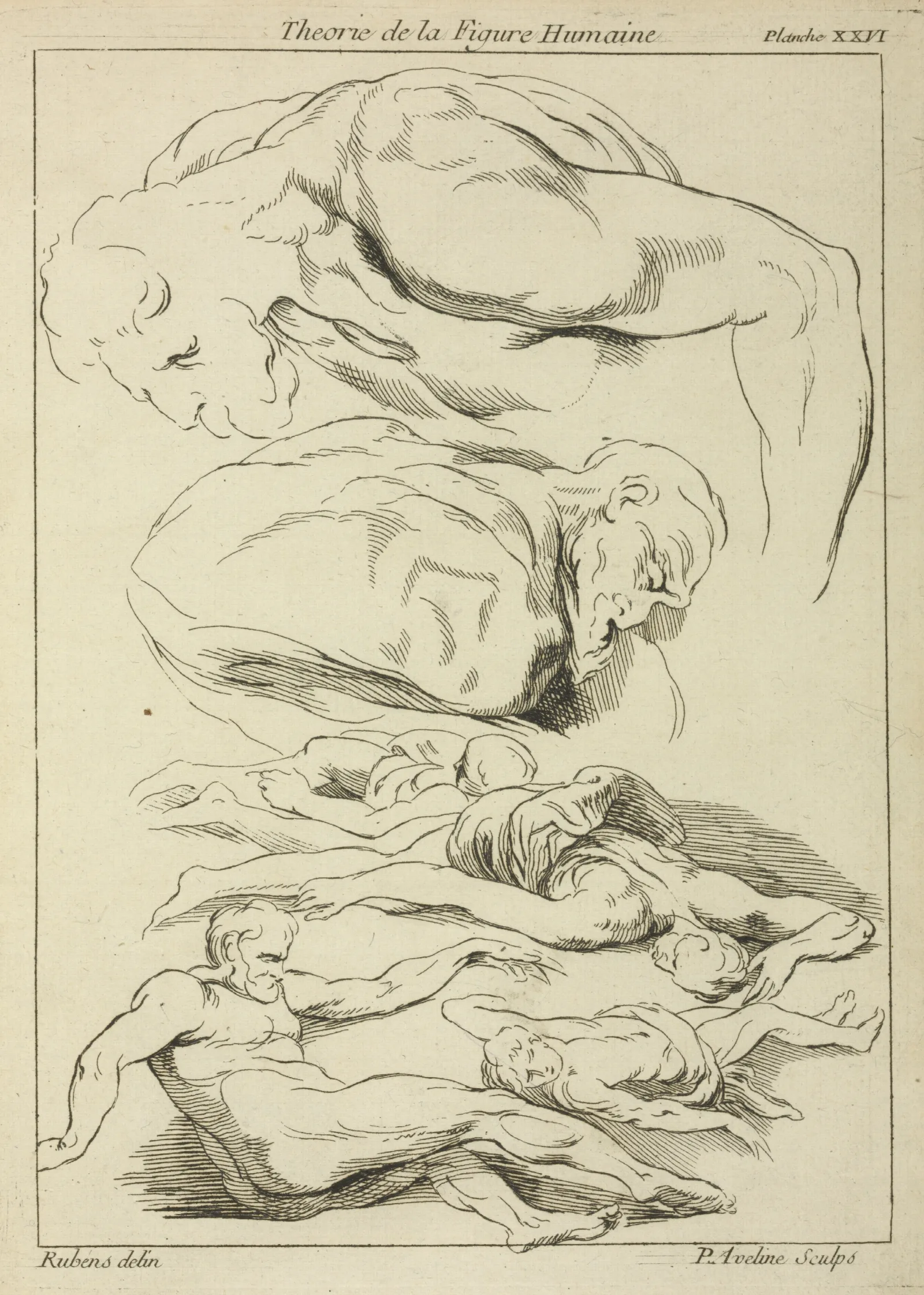 Six Studies Of Male Figures In Various Prone And Supine Positions Wall Art by Peter Paul Rubens - Canvas Print