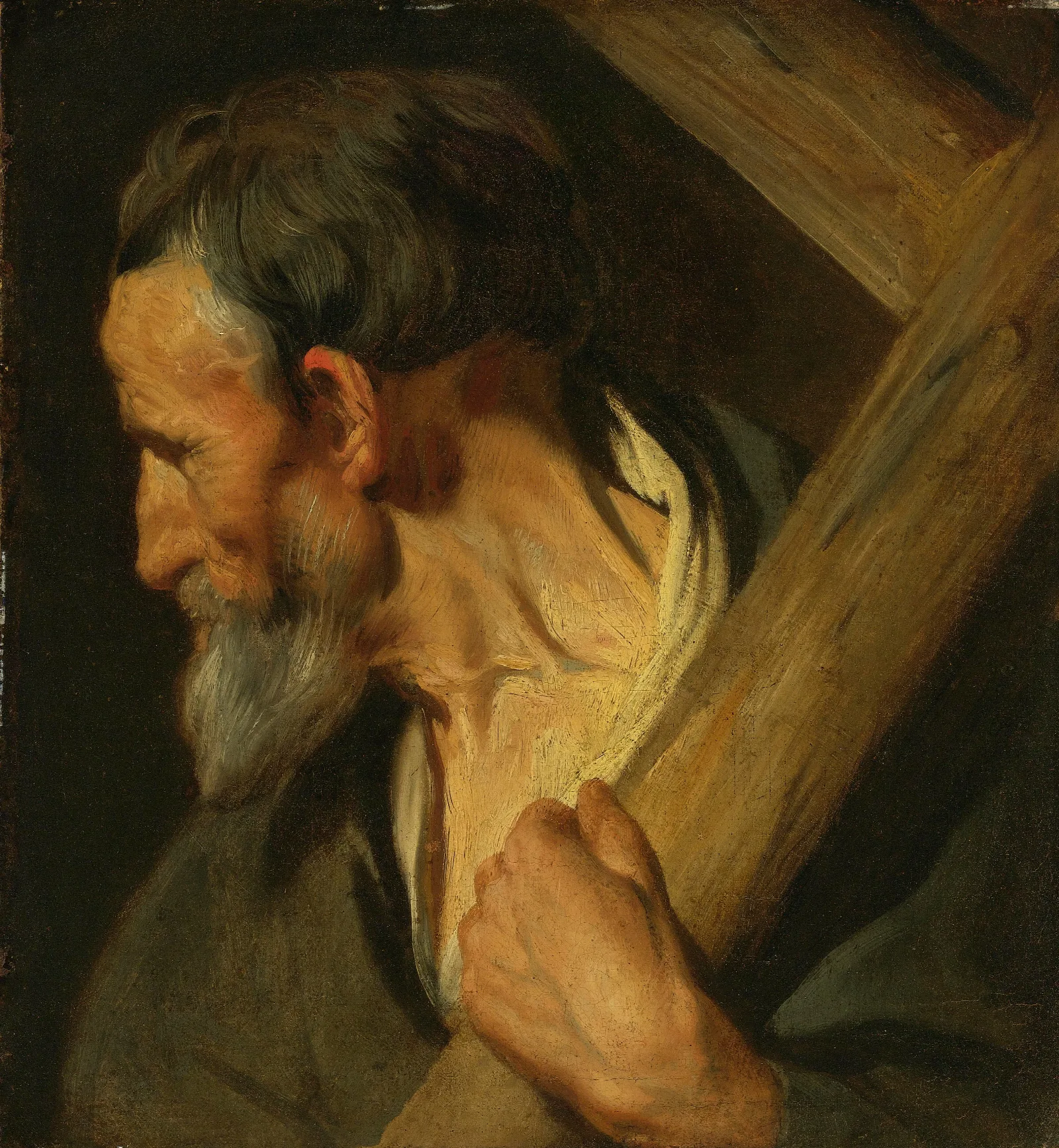 St Andrew Wall Art by Jacob Jordaens - Canvas Print