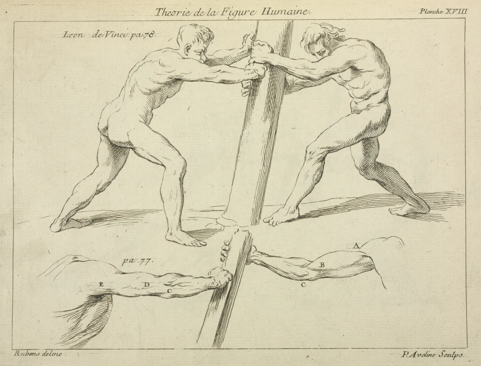 Studies Of Two Figures Pushing Against A Pillar Wall Art by Peter Paul Rubens - Canvas Print