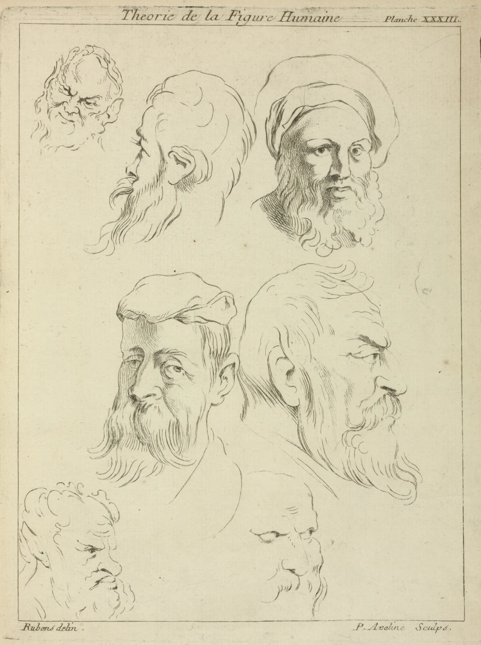 Seven Male Heads All With Beards Two Wearing Caps Wall Art by Peter Paul Rubens - Canvas Print