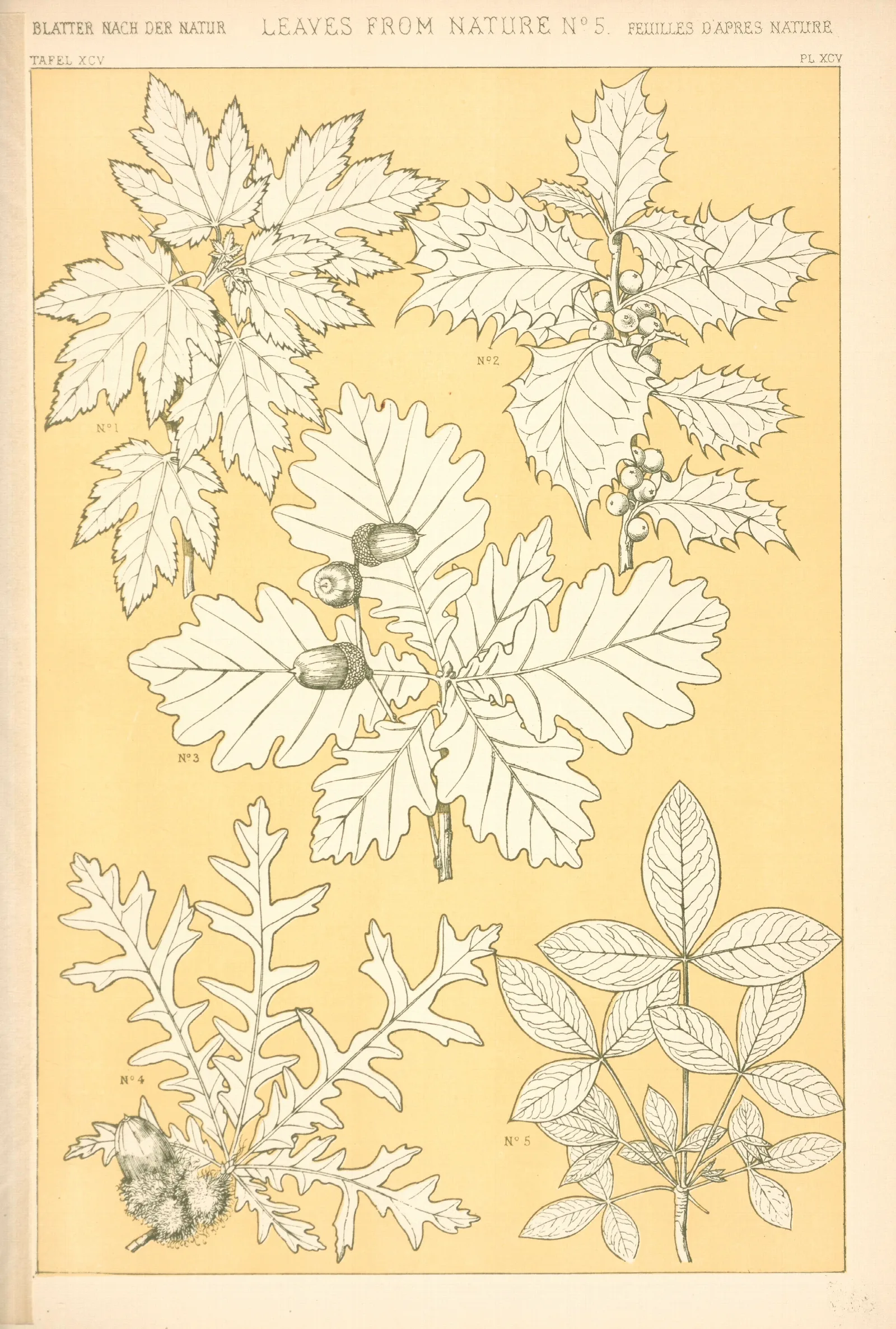 Leaves From Nature No 5 3 Wall Art by Owen Jones - Canvas Print