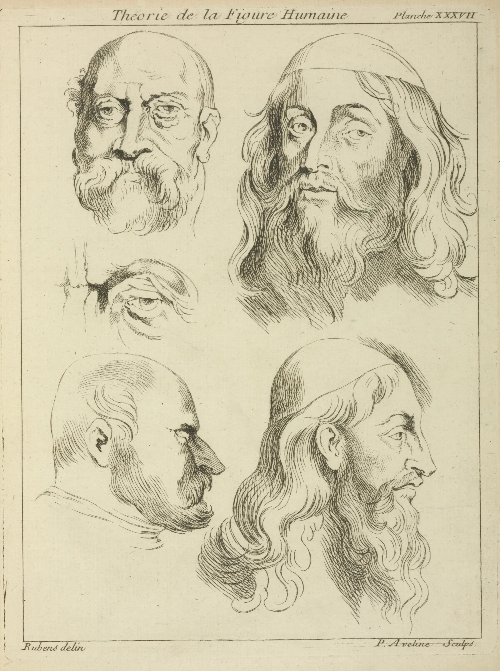 Four Studies Of Mens Heads And An Eye Wall Art by Peter Paul Rubens - Canvas Print