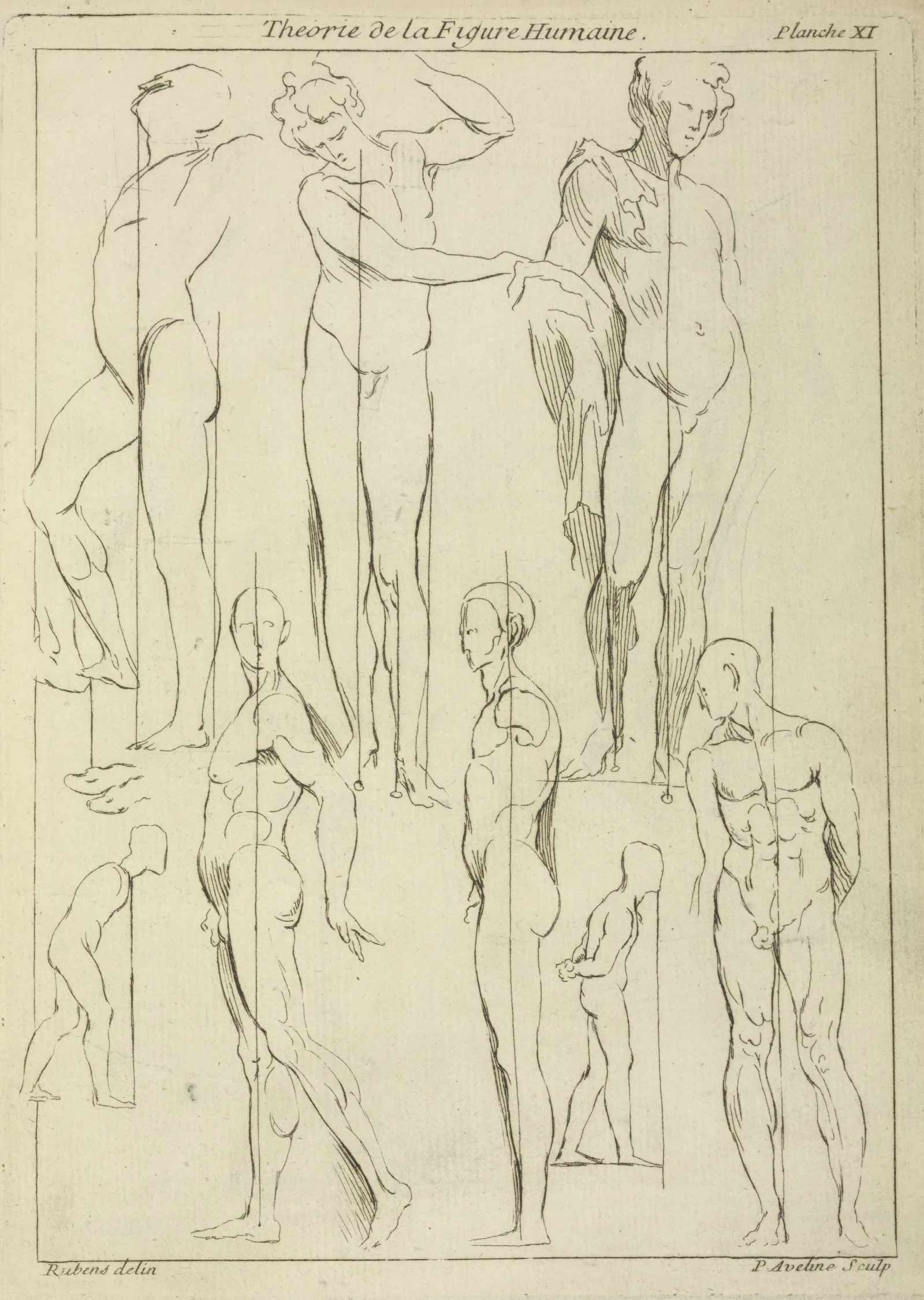 Studies Of Figures In Upright Positions Wall Art by Peter Paul Rubens - Canvas Print