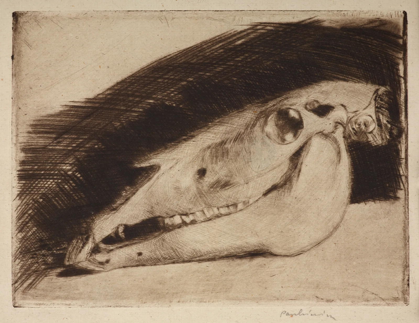 Horse Skull Wall Art by Józef Pankiewicz - Canvas Print