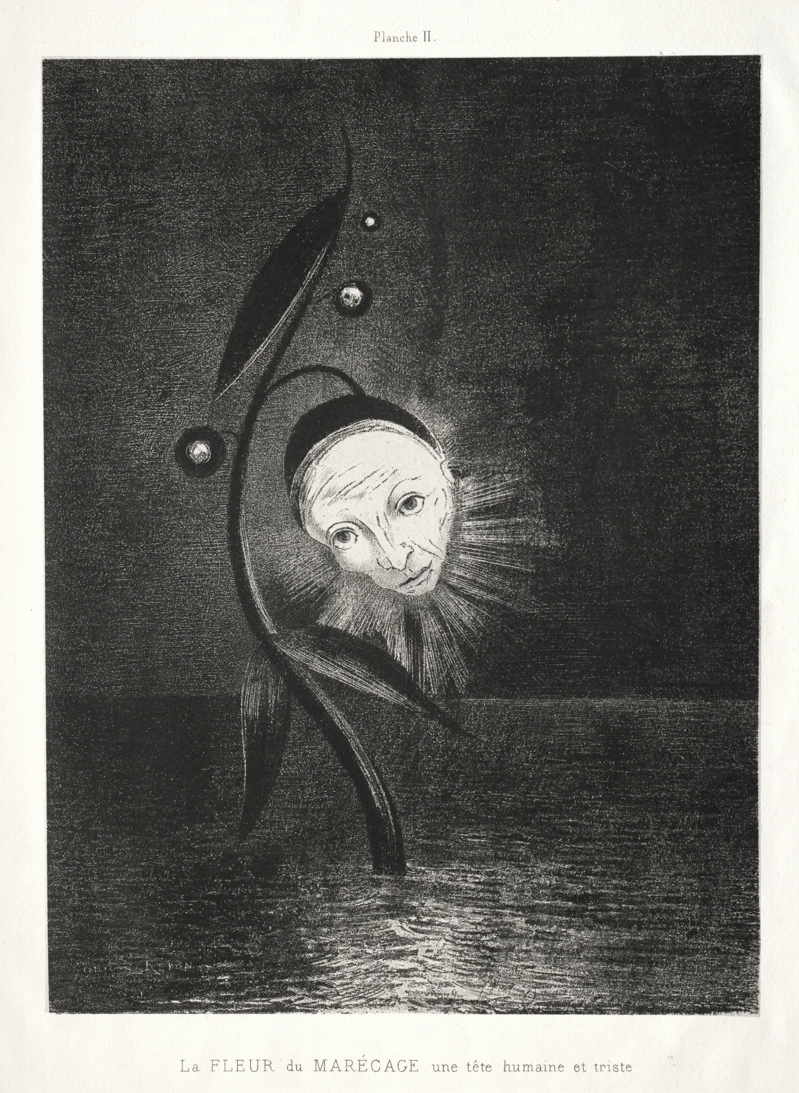 The Marsh Flower A Sad Human Head Wall Art by Odilon Redon - Canvas Print