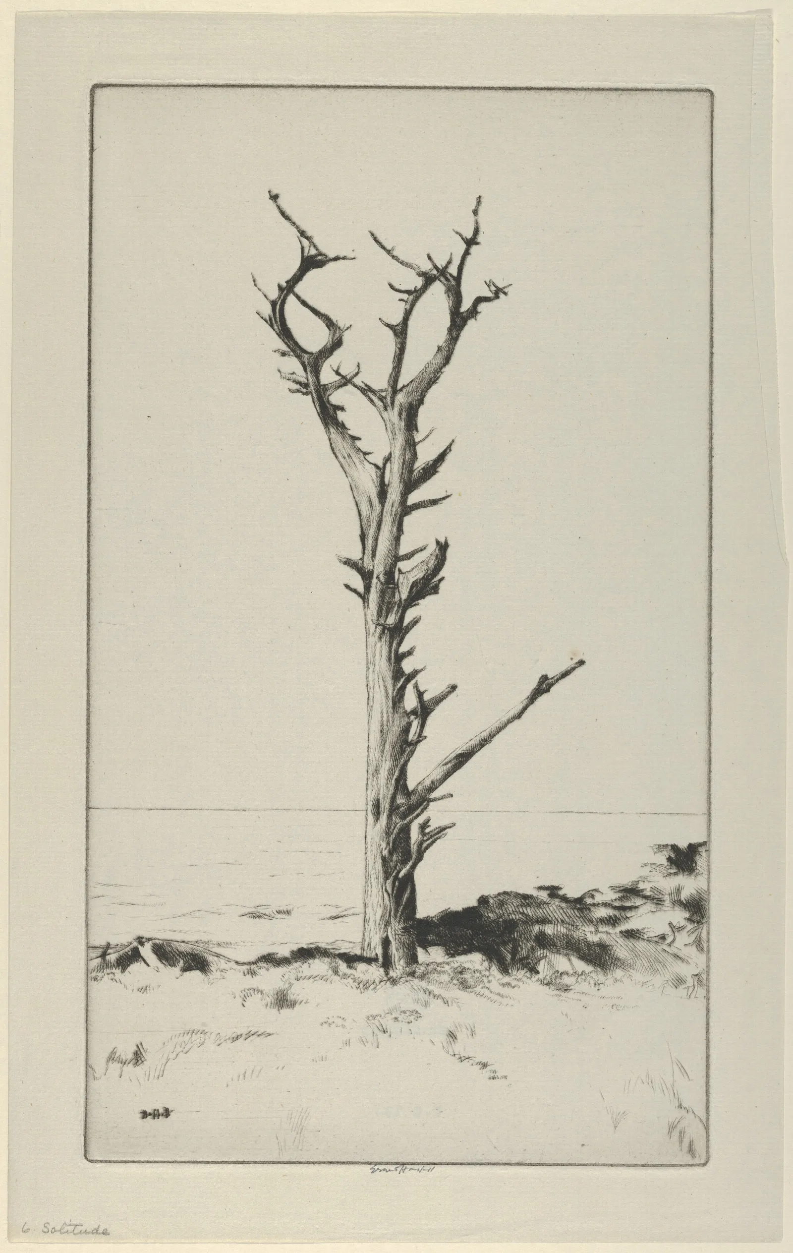Solitude 5 Wall Art by Ernest Haskell - Canvas Print