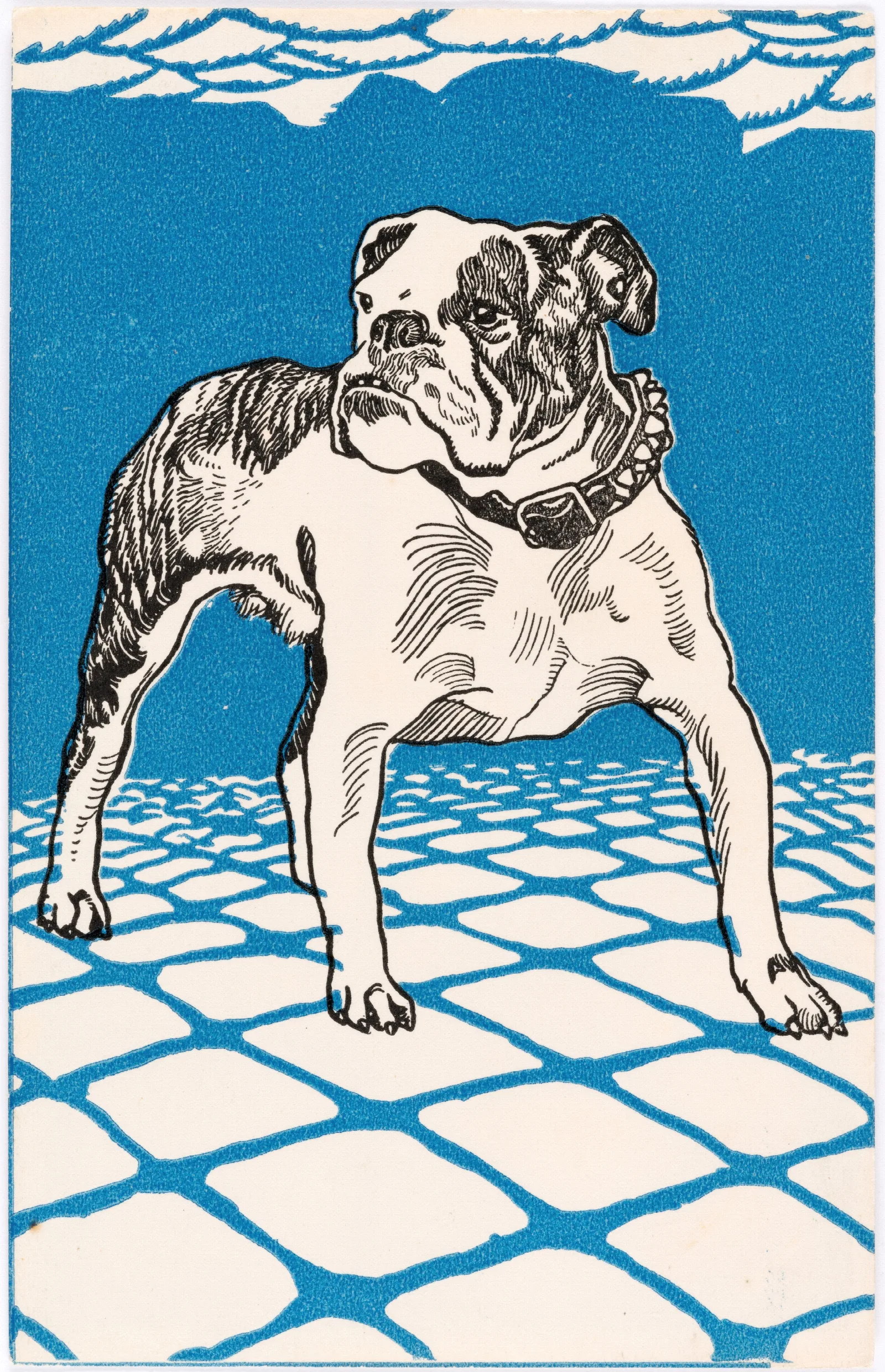 Nr 680 Bulldogge Wall Art by Moriz Jung - Canvas Print