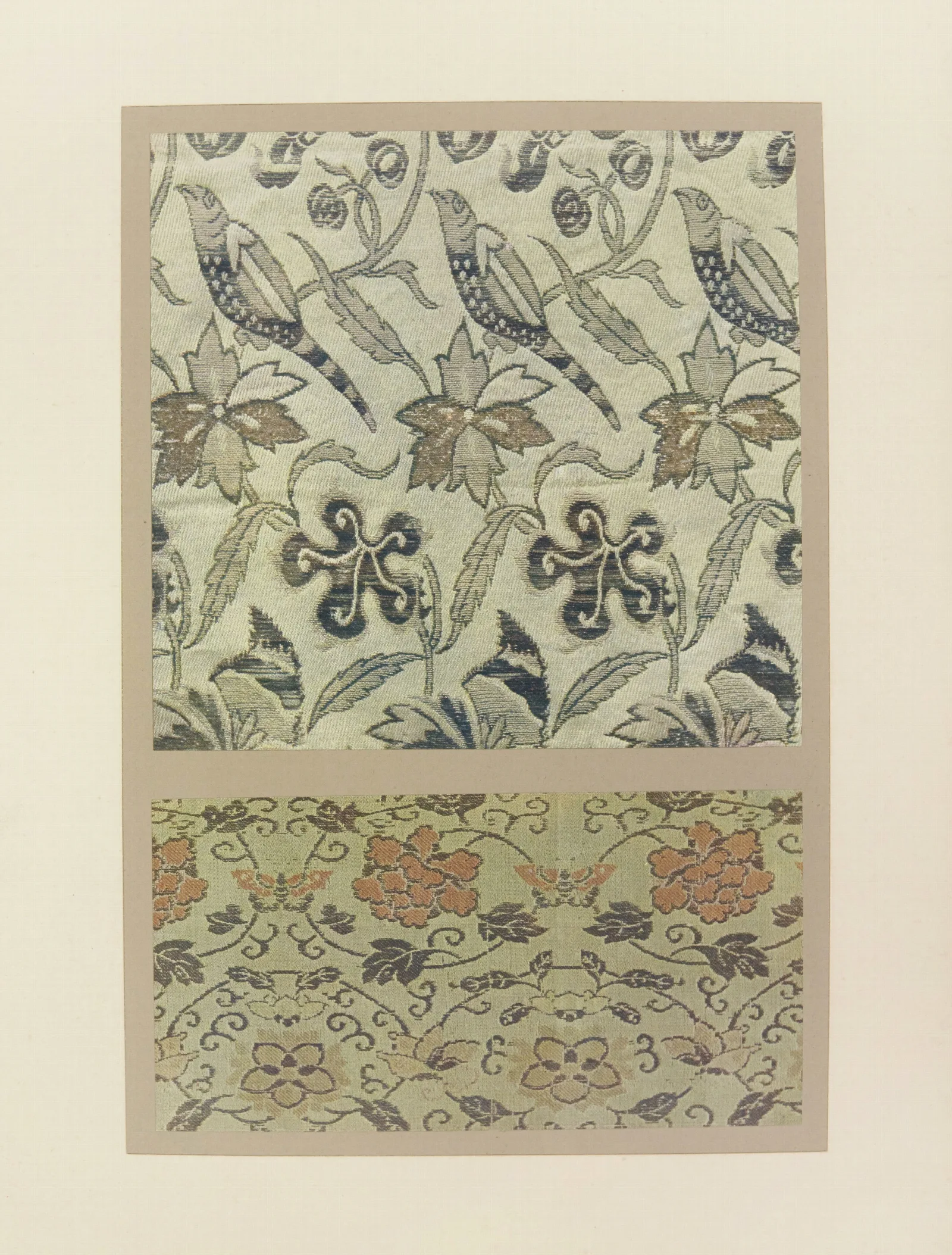 Oiseaux Et Plantes Stylisees Fleurs Et Papillons Wall Art by Maurice Pillard Verneuil - Canvas Print