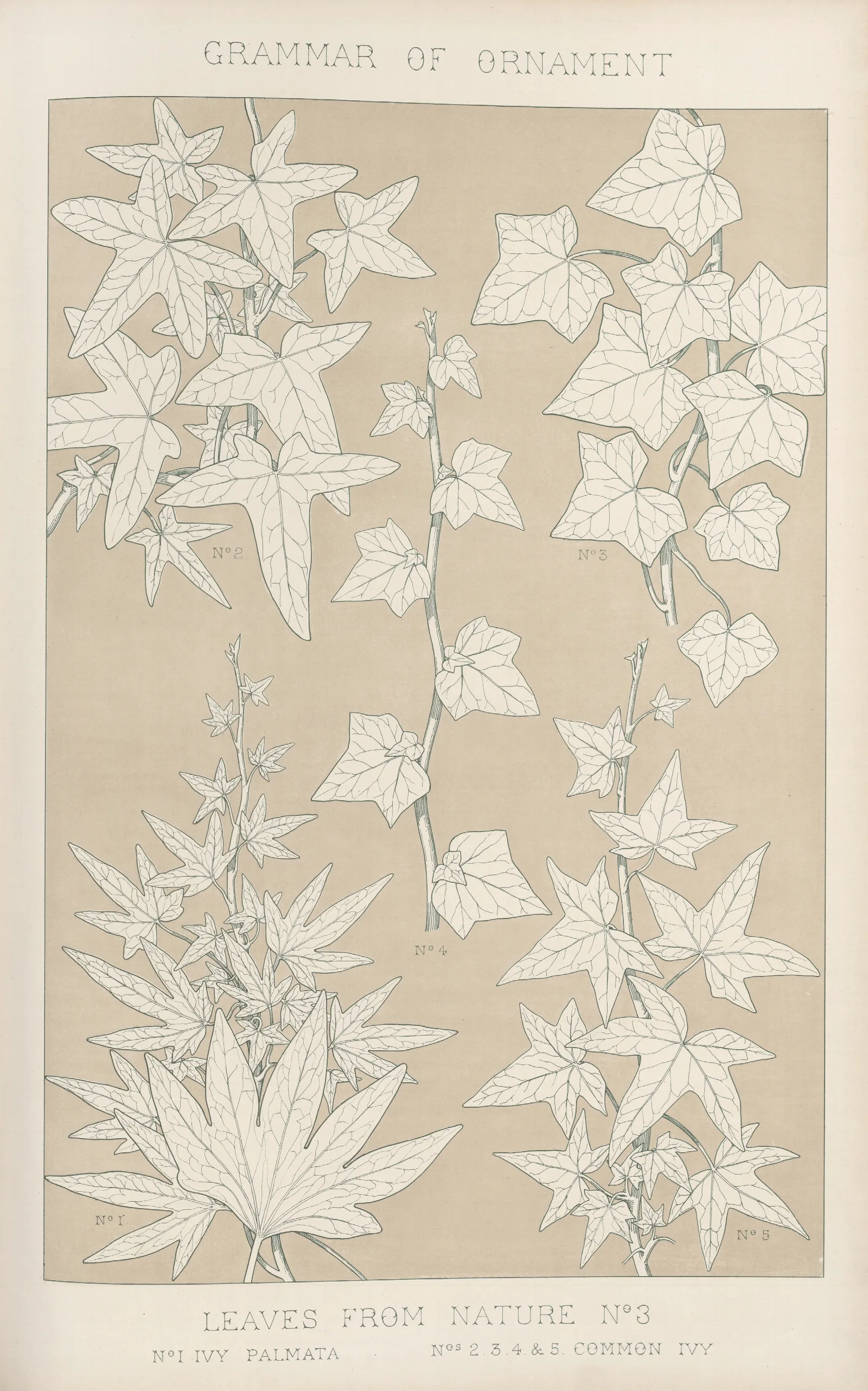 Leaves From Nature No 3 2 Wall Art by Owen Jones - Canvas Print