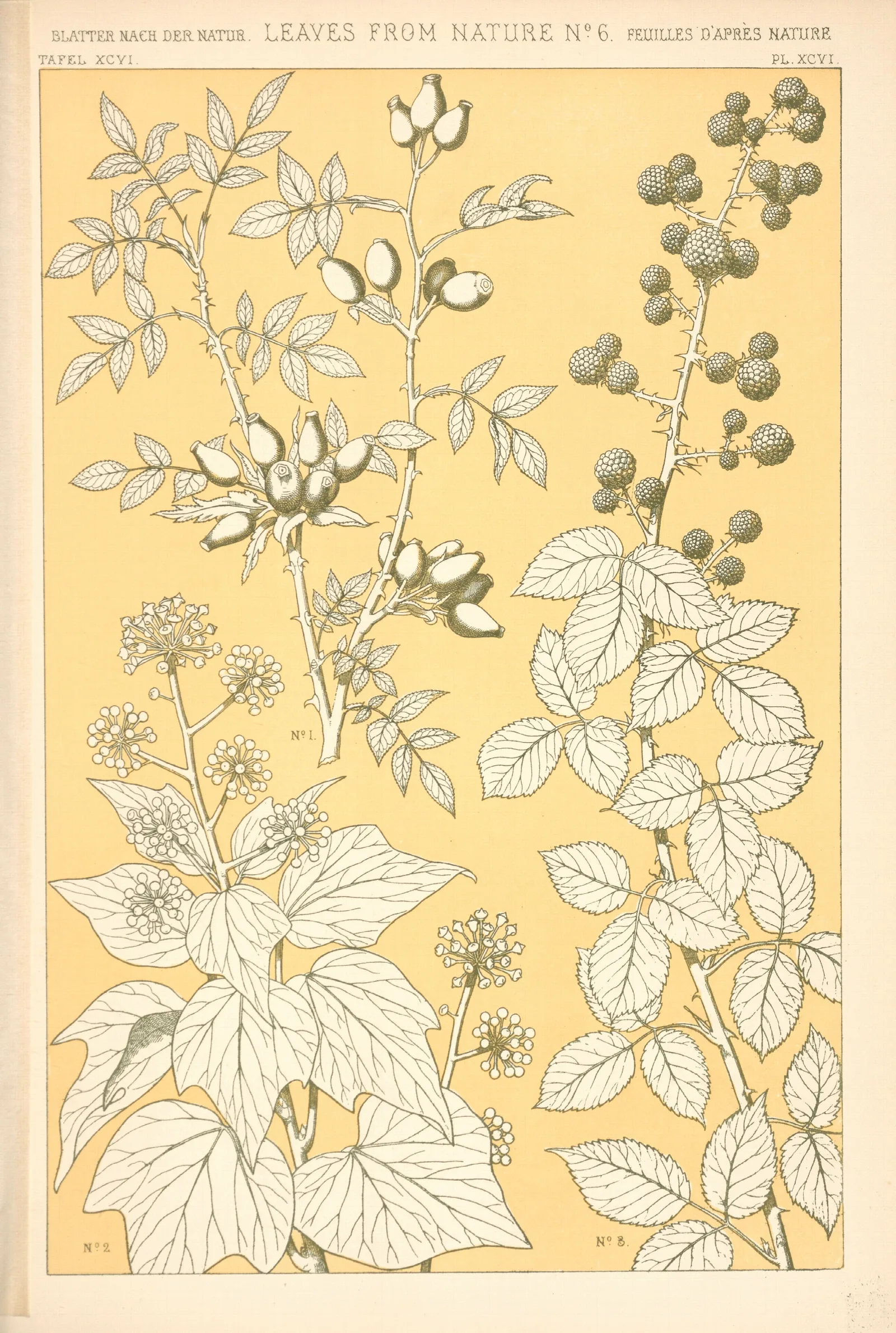 Leaves From Nature No 6 3 Wall Art by Owen Jones - Canvas Print