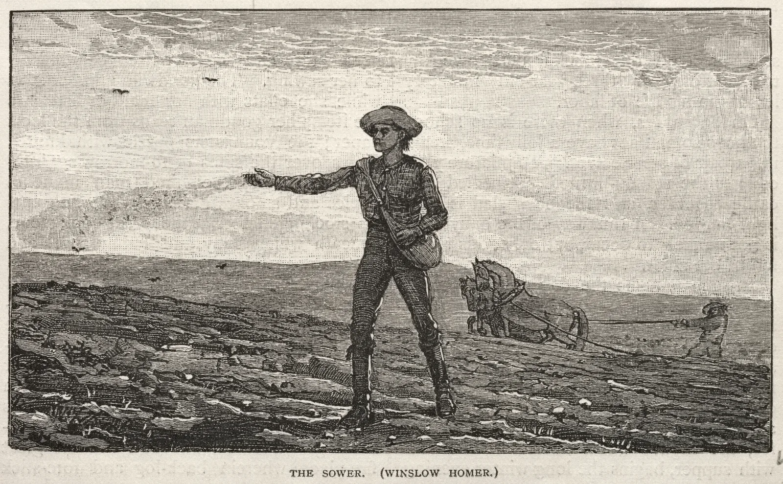 The Sower 9 Wall Art by Winslow Homer - Canvas Print