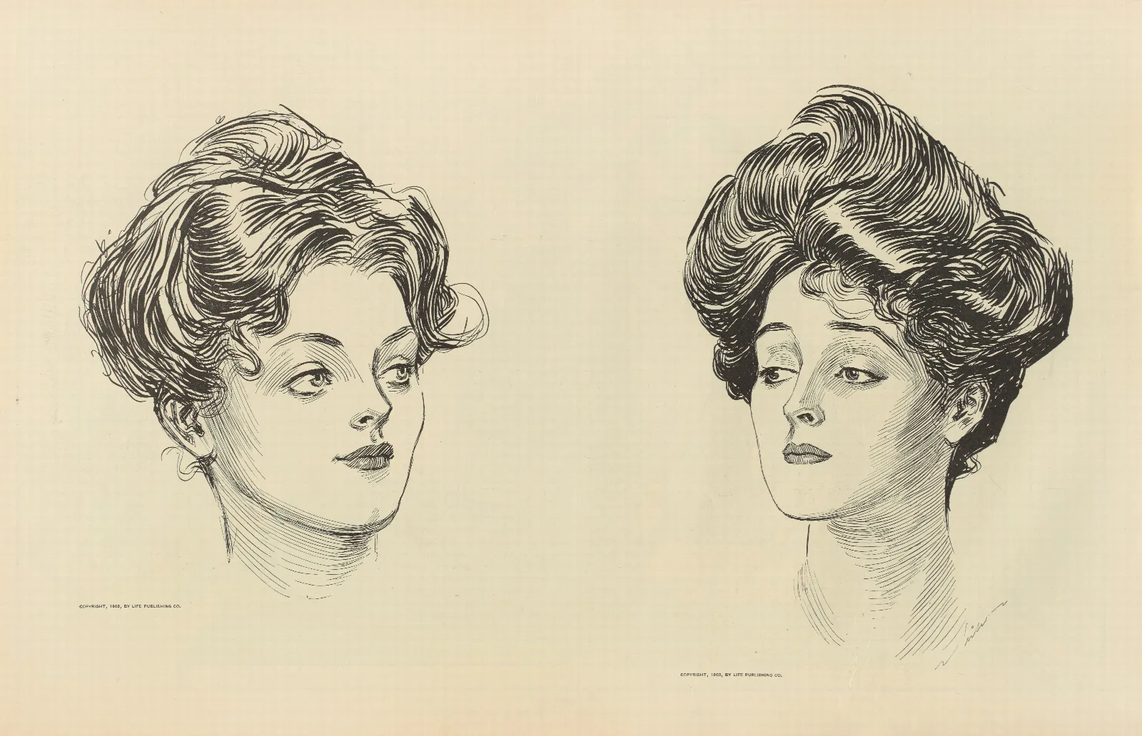 Illustration 299 by Charles Dana Gibson Wall Art by Charles Dana Gibson - Canvas Print