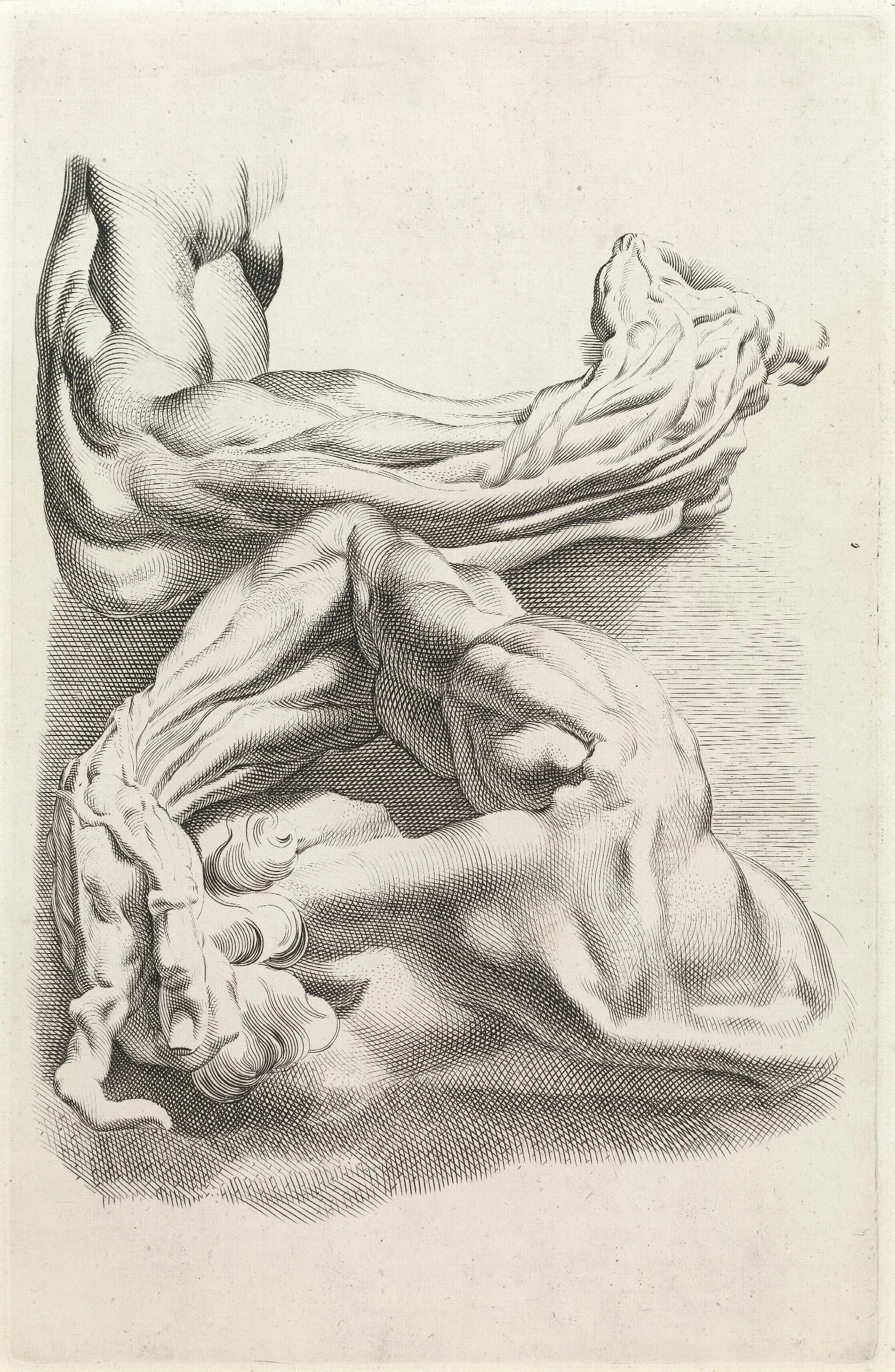 Muscles Wall Art by Peter Paul Rubens - Canvas Print