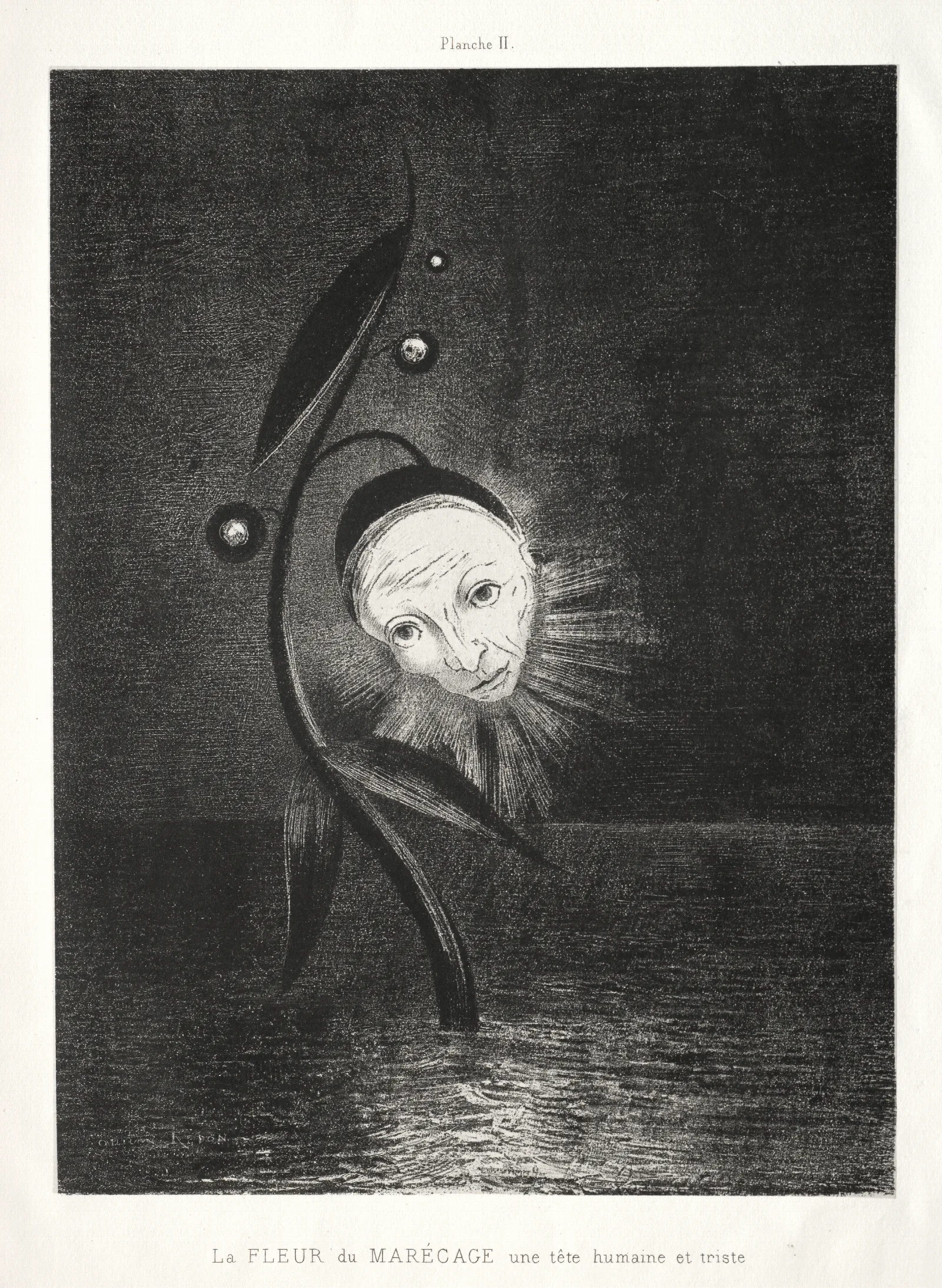 The Marsh Flower A Sad Human Head 2 Wall Art by Odilon Redon - Canvas Print