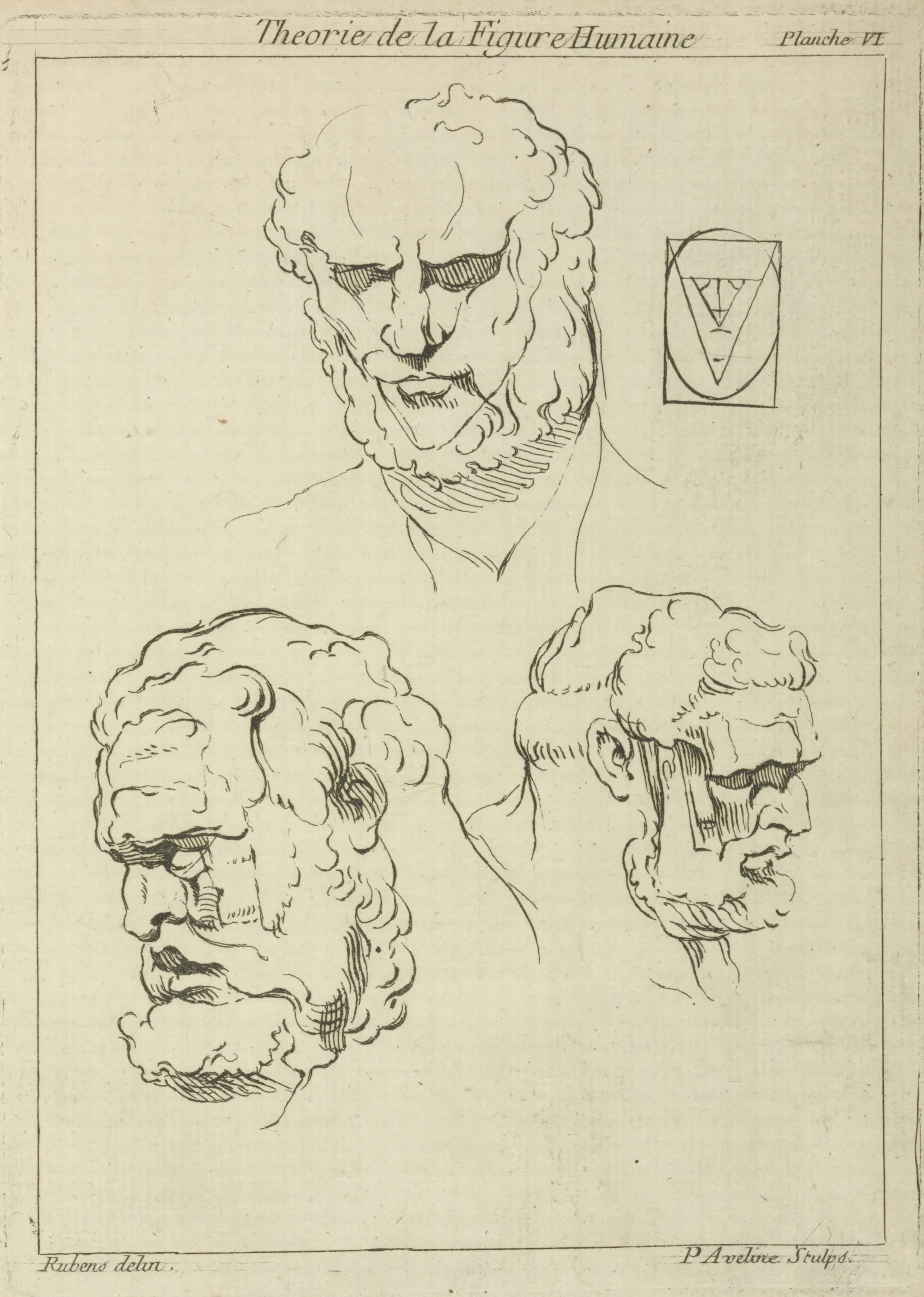Three Studies Of A Mans Head And Beard Wall Art by Peter Paul Rubens - Canvas Print