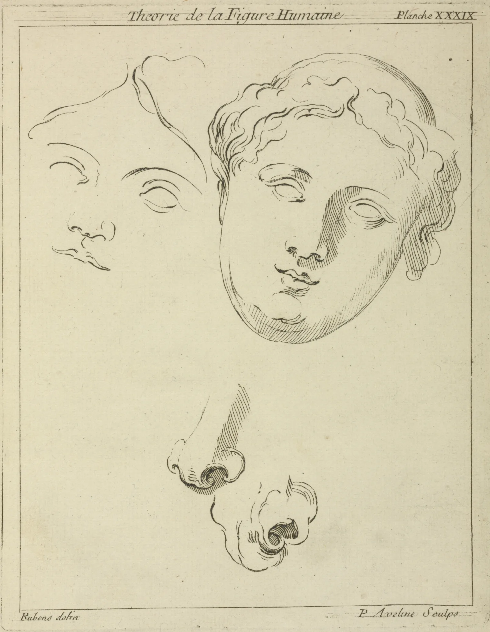 Two Human Female Faces And Two Noses One Human Animal Wall Art by Peter Paul Rubens - Canvas Print