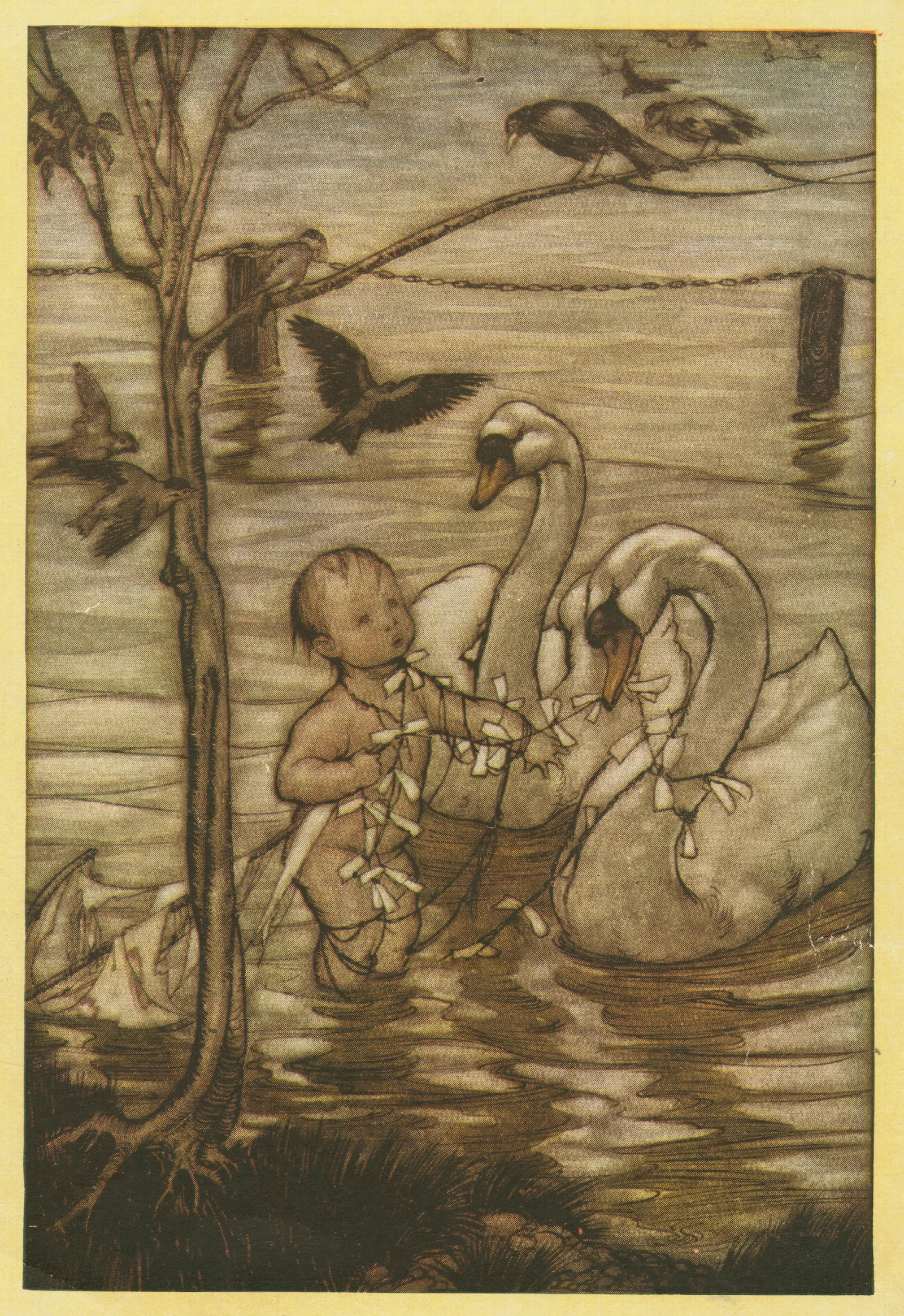 After This The Birds Said That They Would Help Him No More In His Mad Enterprise Wall Art by Arthur Rackham - Canvas Print