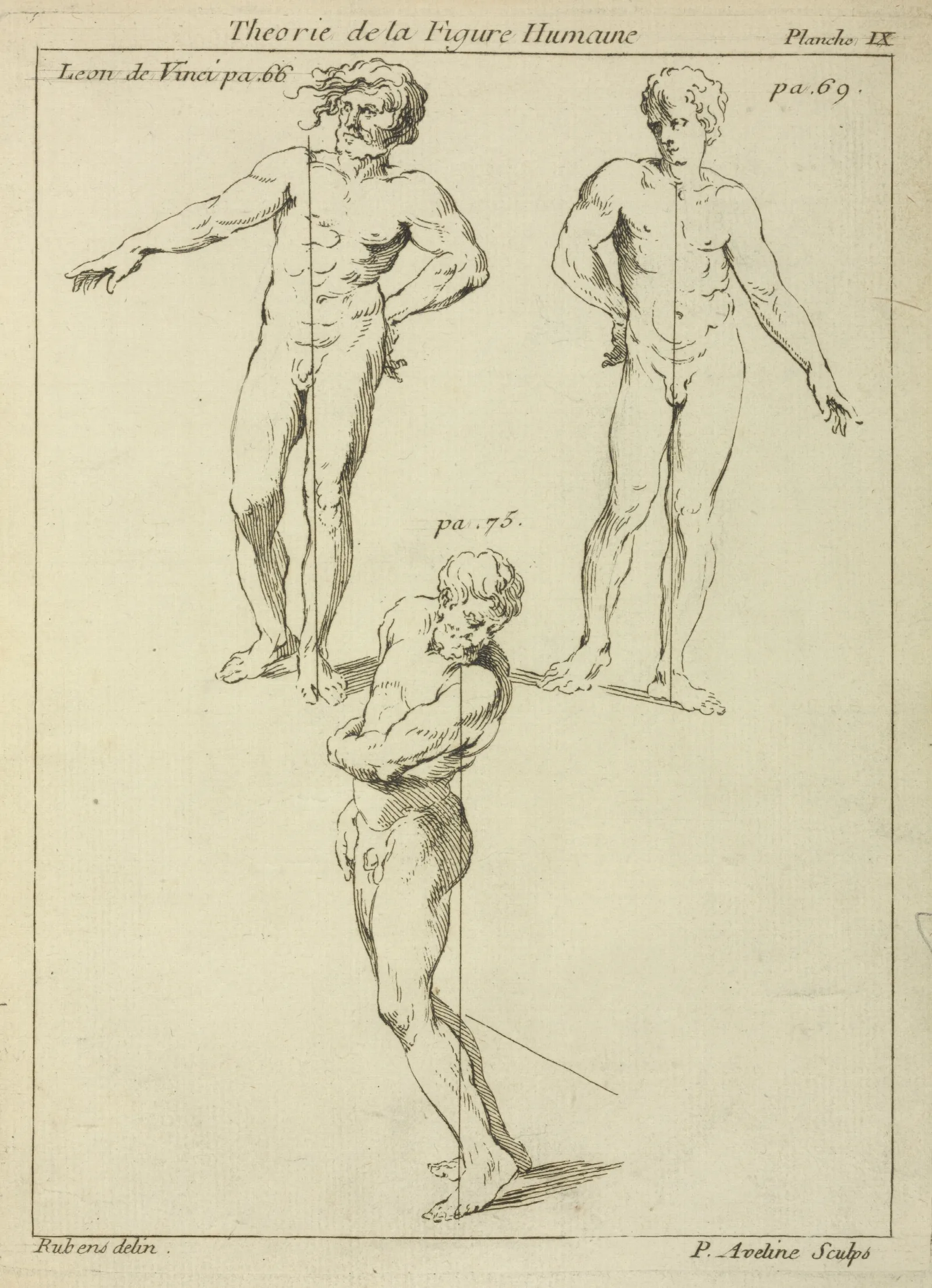 Three Studies Of Male Figures Wall Art by Peter Paul Rubens - Canvas Print