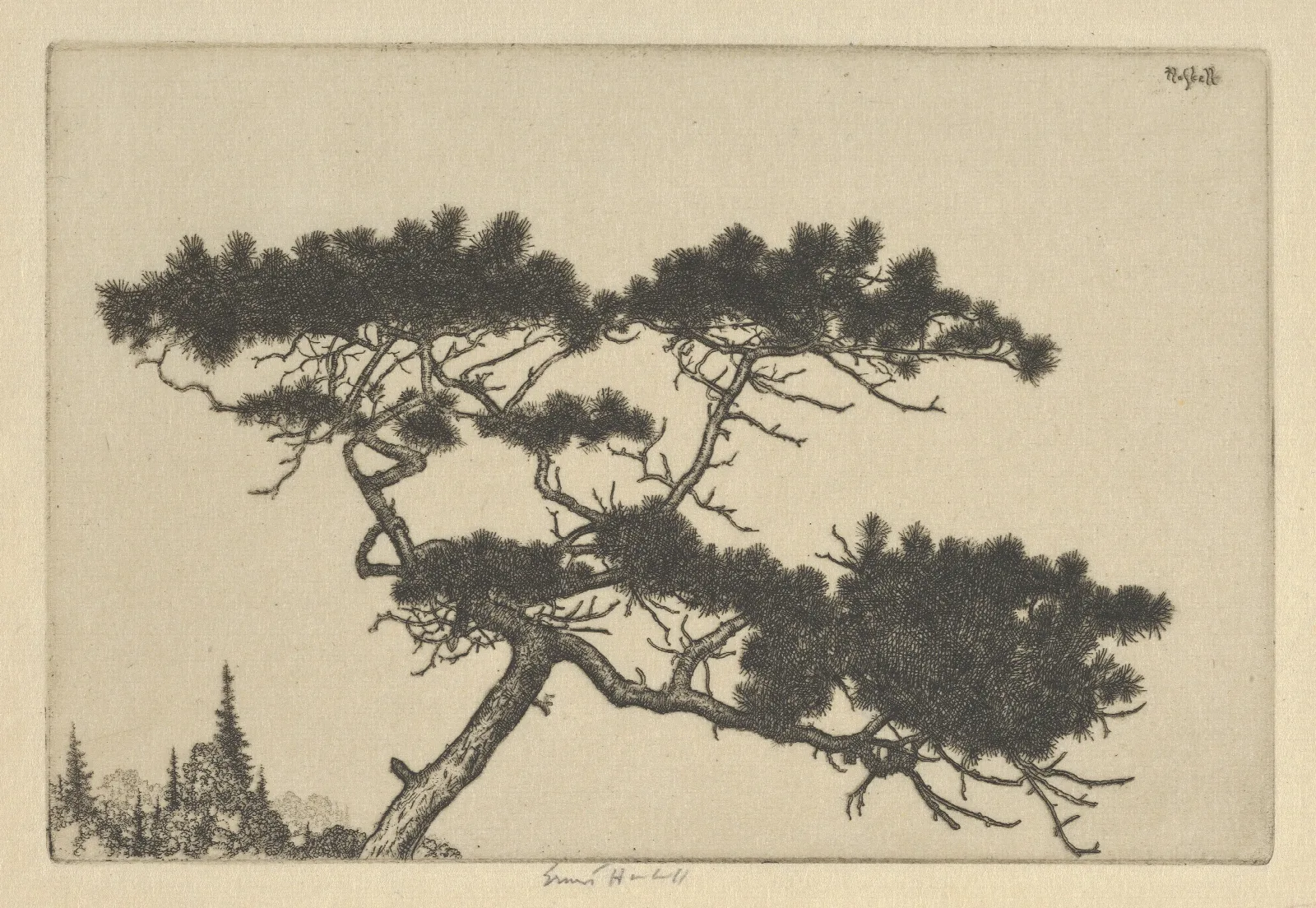 Crippled Pine Wall Art by Ernest Haskell - Canvas Print