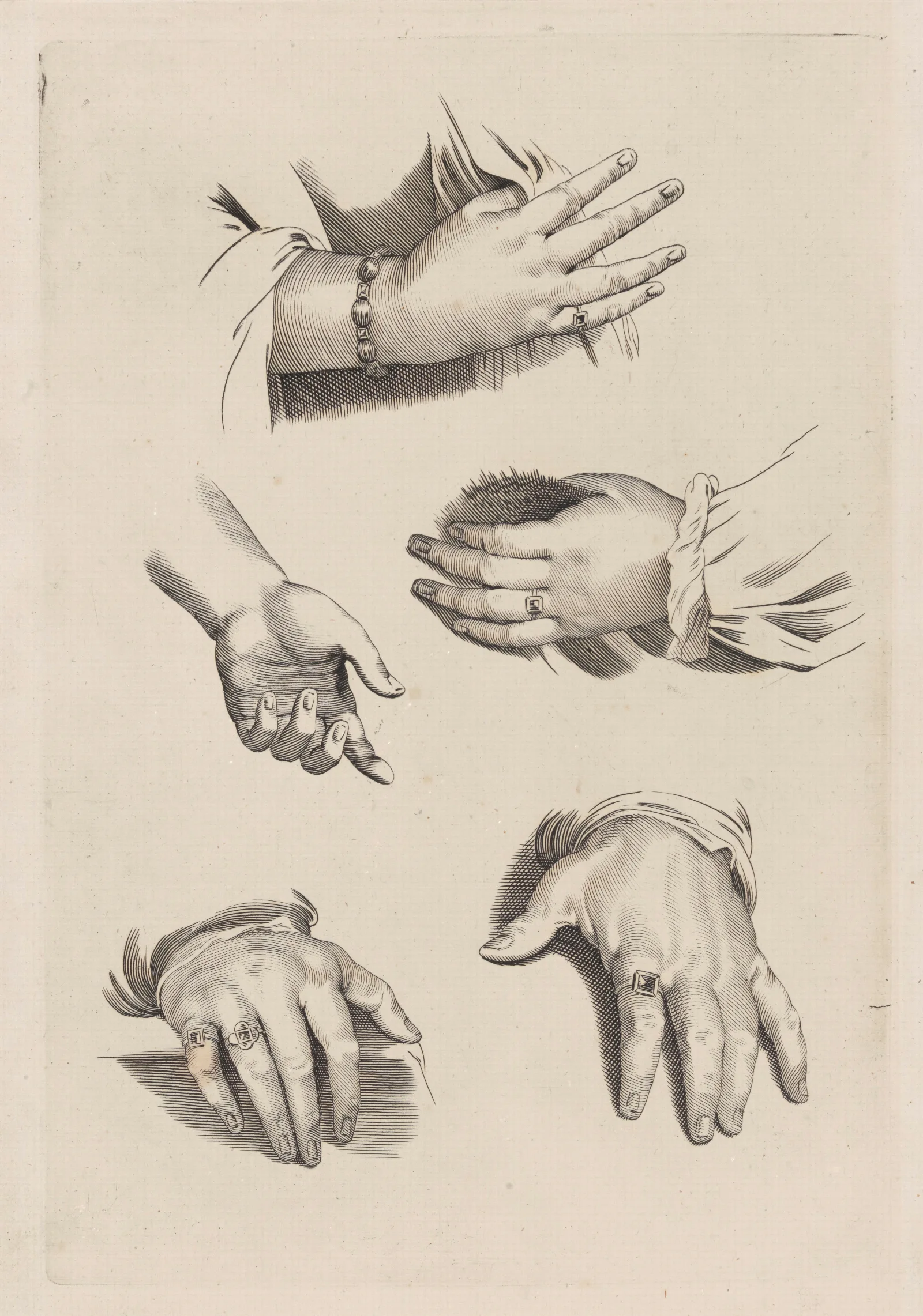 Study Of Hands 9 Wall Art by Peter Paul Rubens - Canvas Print