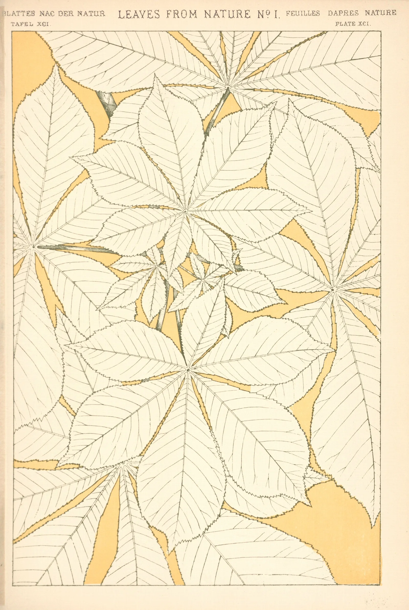 Leaves From Nature No 1 3 Wall Art by Owen Jones - Canvas Print