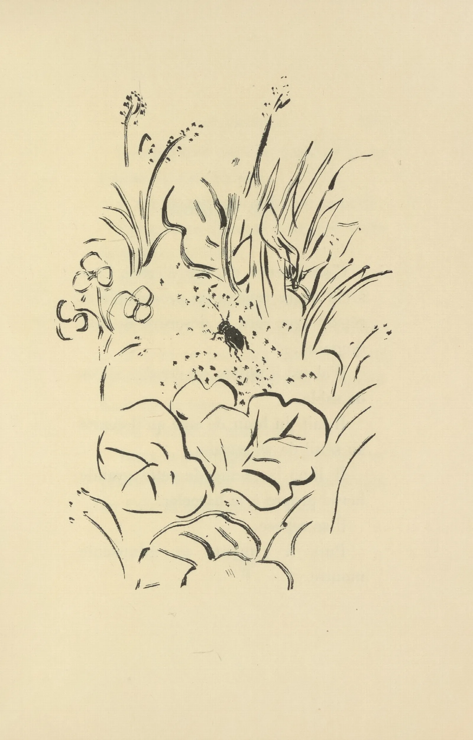 Histoires Naturelles Pl 40 Wall Art by Pierre Bonnard - Canvas Print