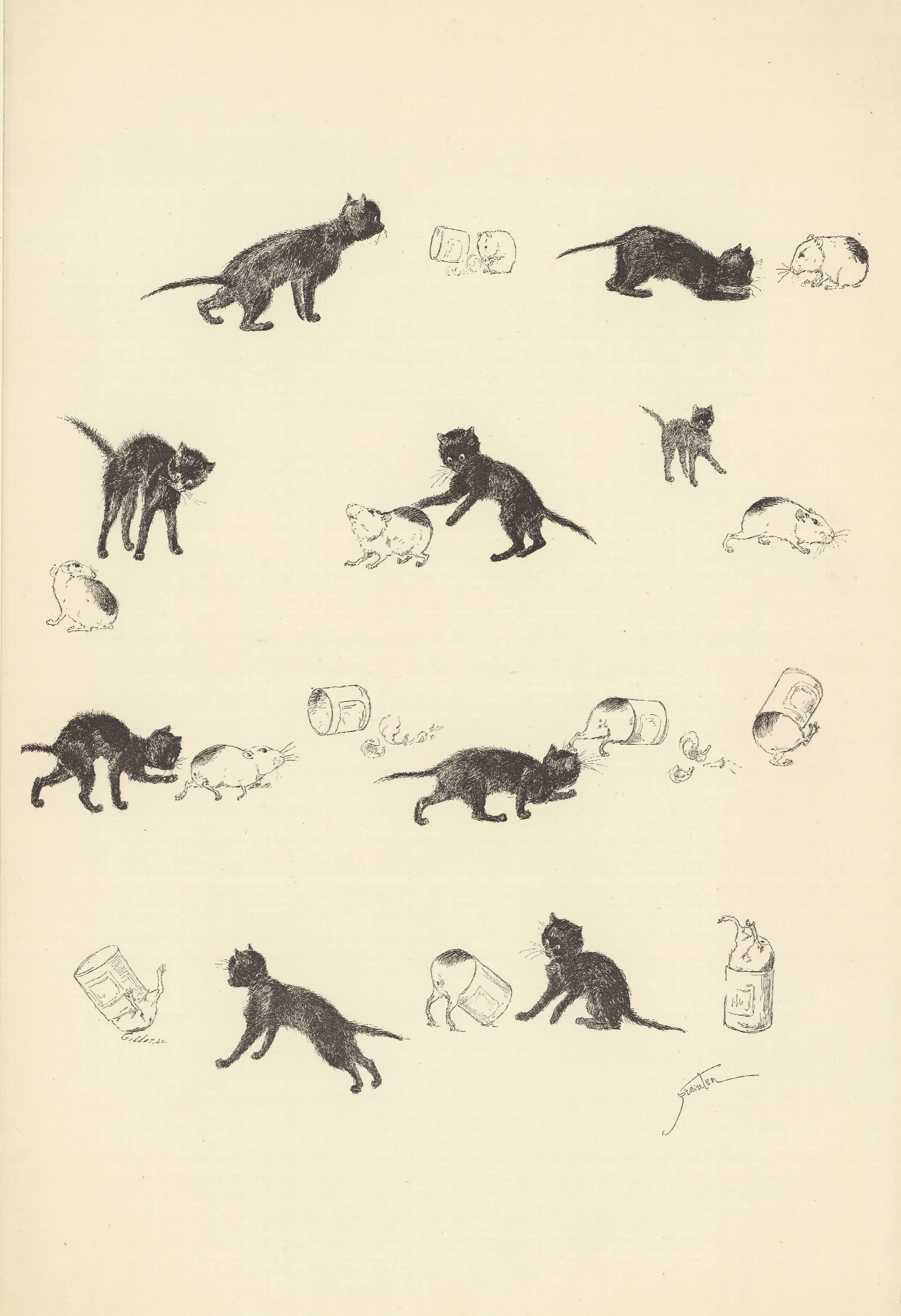 Le Chat Et Le Cochon Dinde Wall Art by Théophile Alexandre Steinlen - Canvas Print