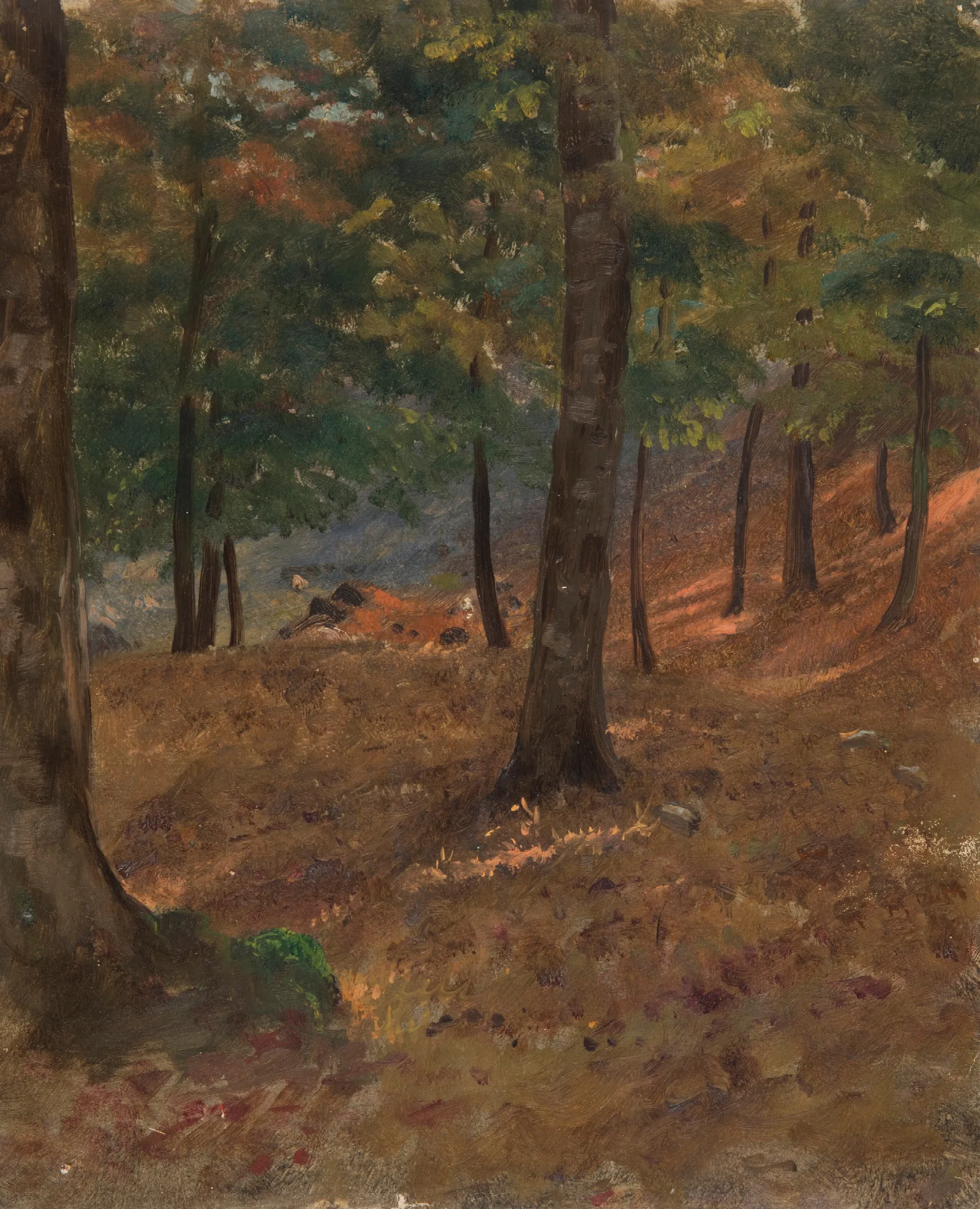 Woodland Scene Wall Art by Frederic Edwin Church - Canvas Print